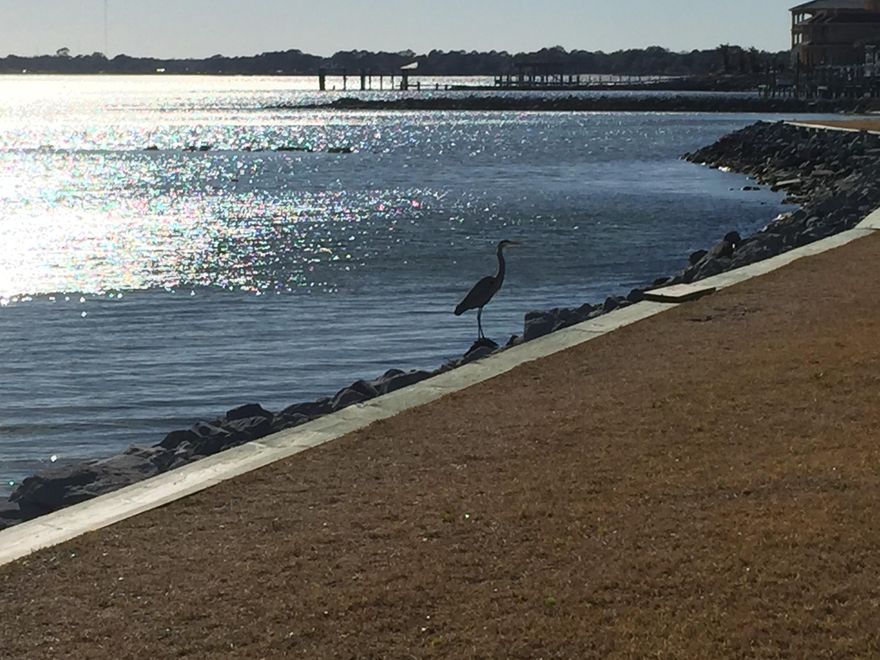 This is currently the only two bedroom/2 bath unit in all of charming Finisterra Condominium. The ground floor unit has been lovingly renovated and has tons of upgrades. Upgrades include: opened up kitchen, large pantry, tile countertops, tile floors in kitchen and both baths, washer and dryer, newer appliances, newer cabinets. Walk out your front door to a view of the Choctawhatchee Bay which is just steps away. Amenities of Finisterra include Bay front living, pool, lighted tennis court, handball court, sauna, clubhouse and on-site management office. Low association fees include water, sewer, garbage, maintenance of common areas and insurance on exterior of building,