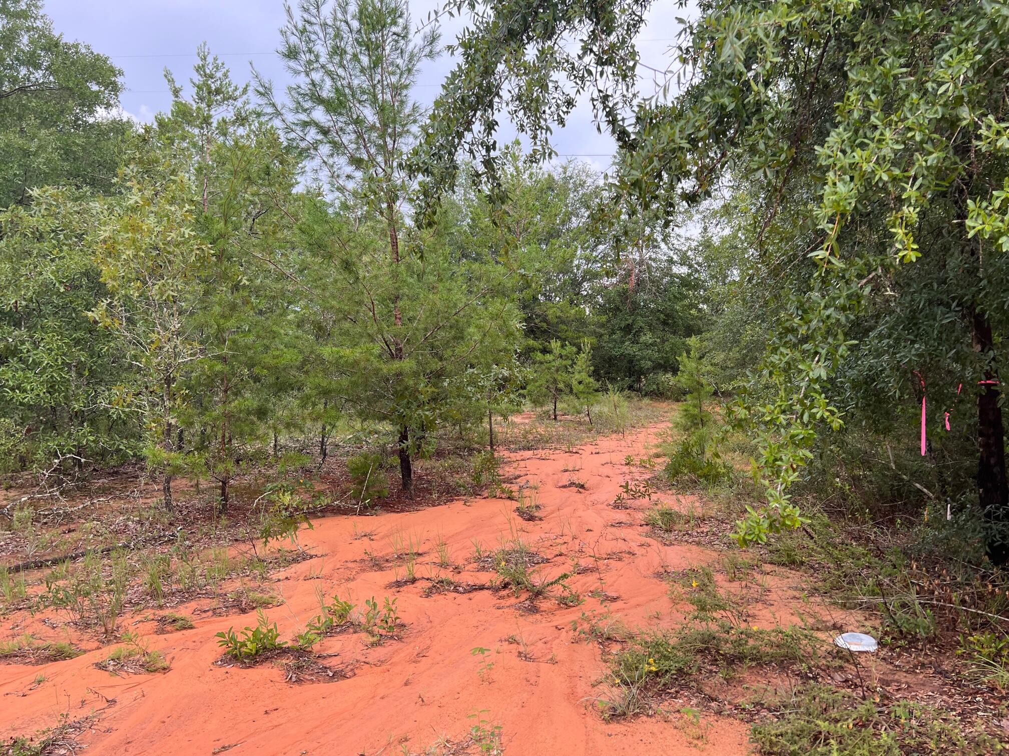 OAKWOOD HILLS UNIT 1 - Land