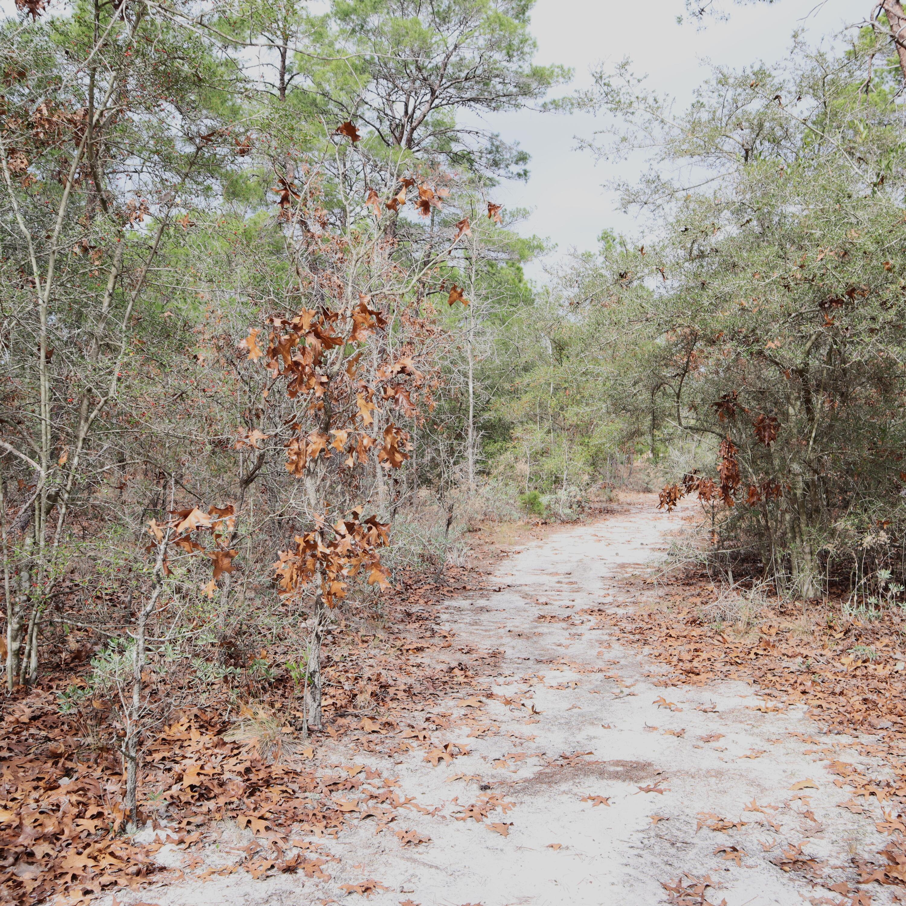 Creekwood Lands - Residential