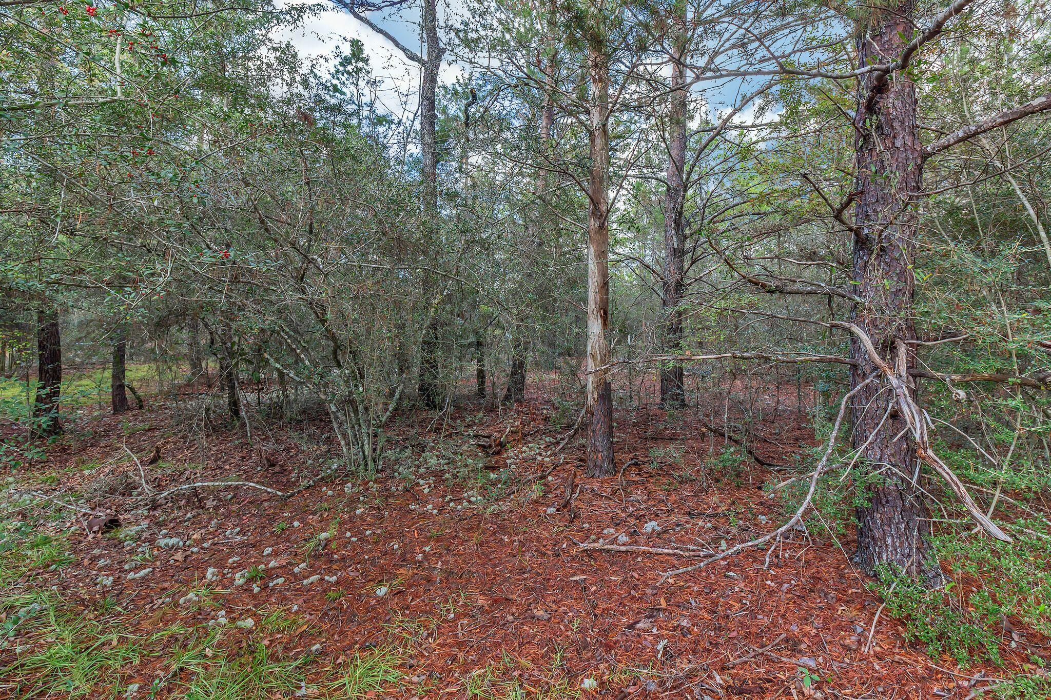 OAKWOOD HILLS UNIT 3 - Land