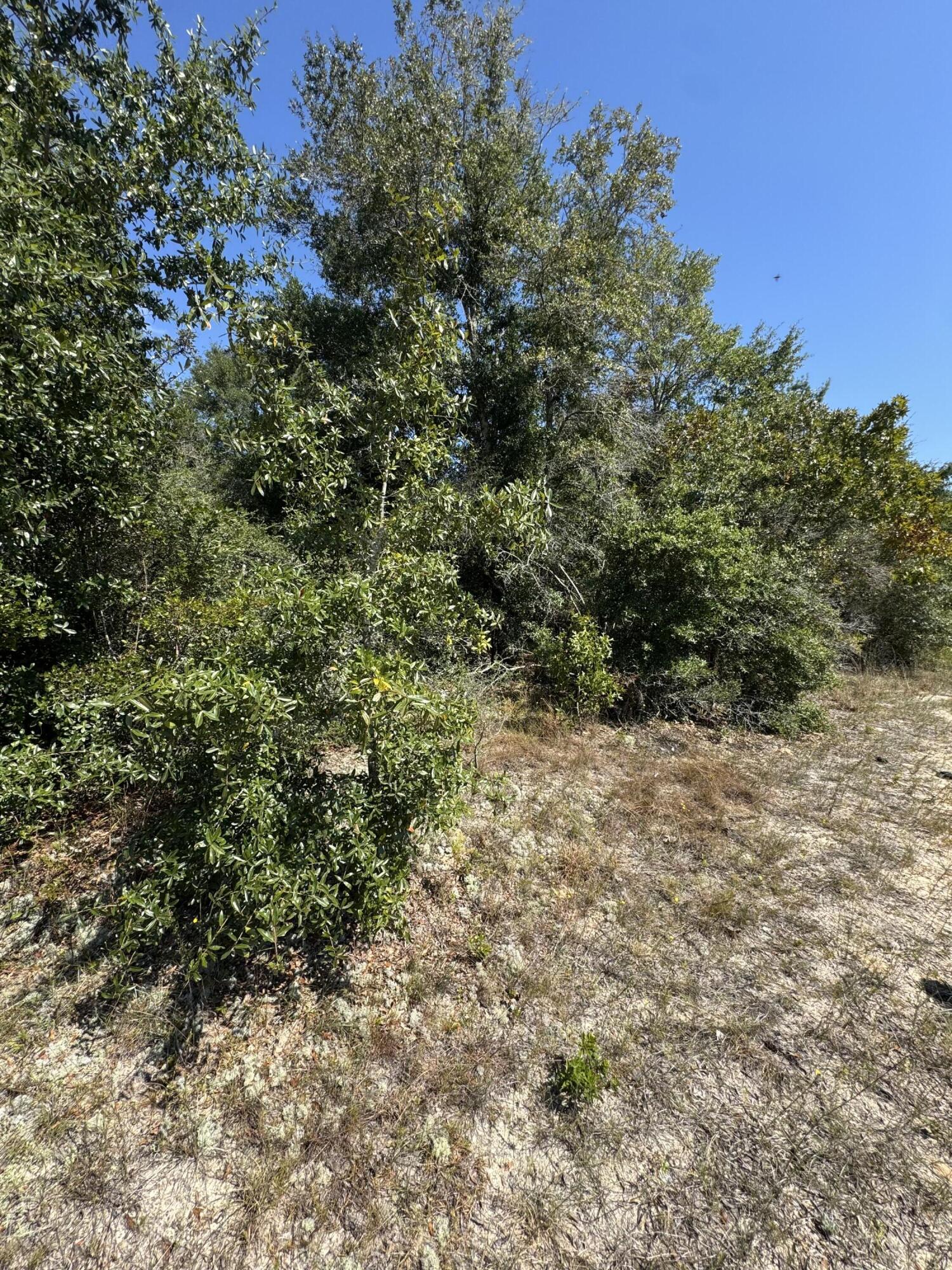 OAKWOOD HILLS - Land