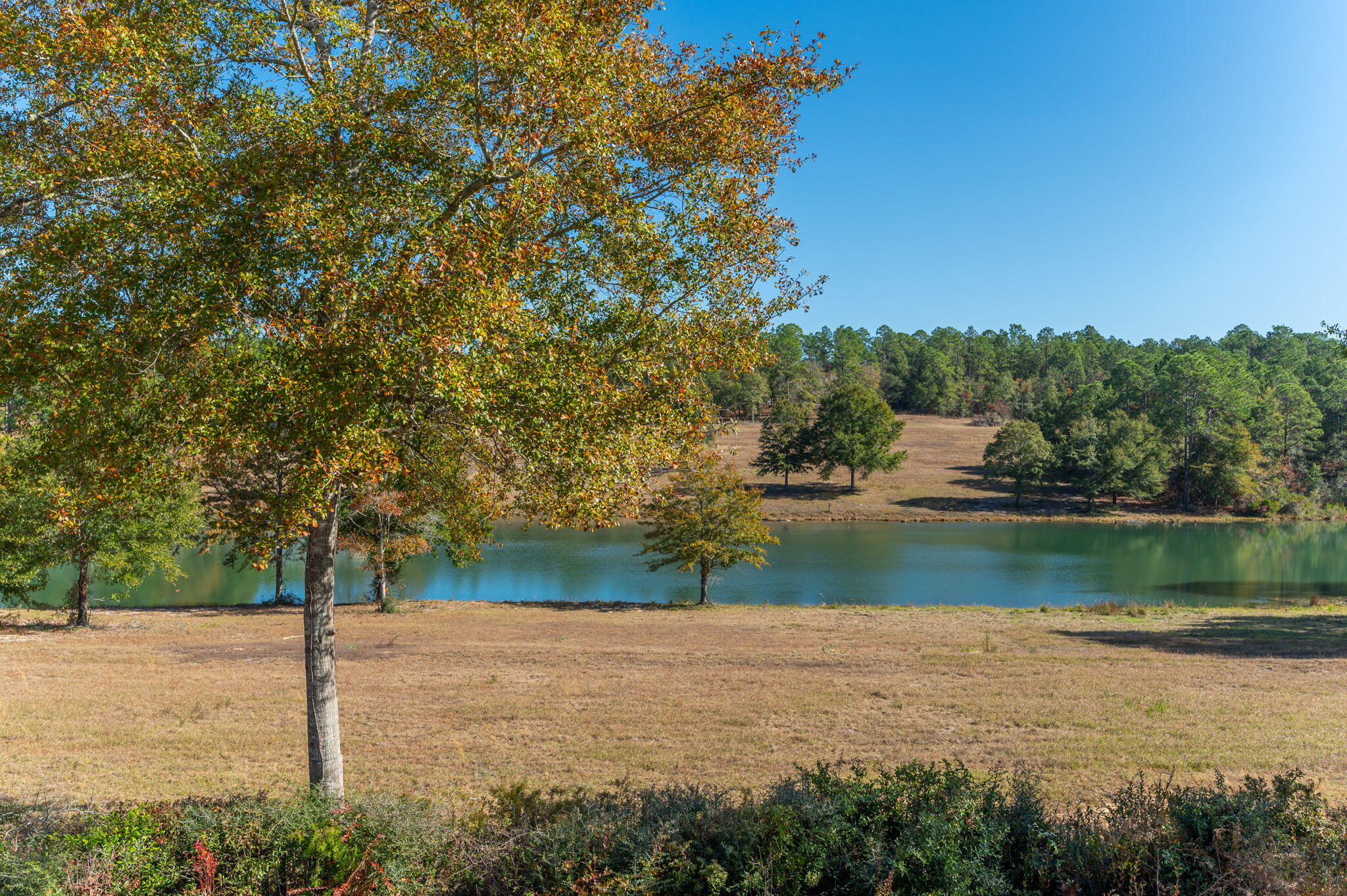 Nature Lake - Residential