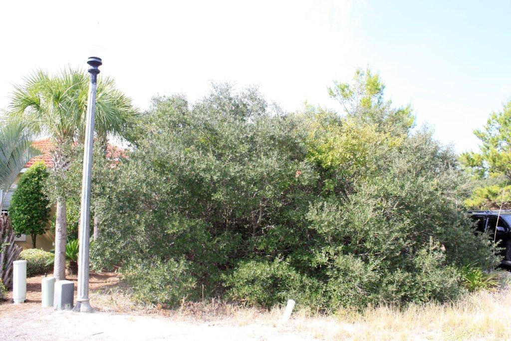 EMERALD WATERS VILLAGE - Land