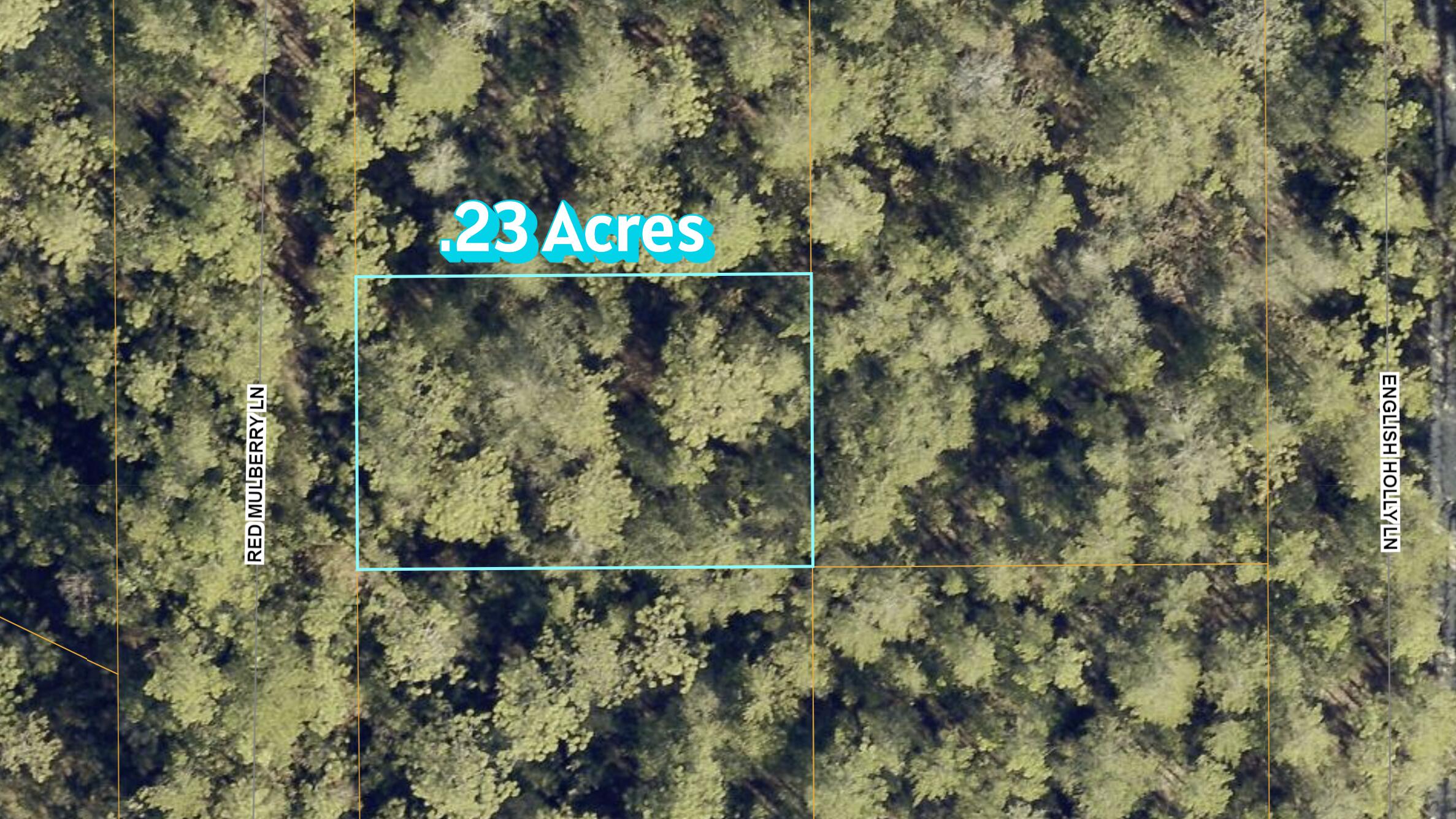 Affordable 1/4 acre lot located in the Oakwood Hills community of DeFuniak Springs, FL. While this lot is secluded there is still available access to the property. Located approximately a 15 minute drive to the downtown area of DeFuniak Springs, 30 minute drive to Niceville, 25 minute drive to Crestview.