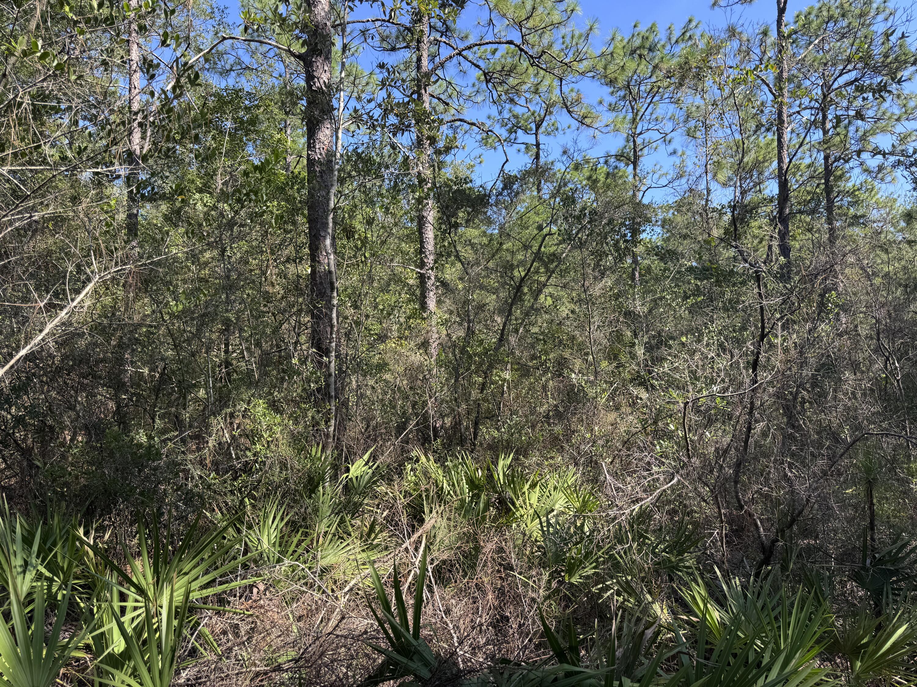 OAKWOOD HILLS UNIT 2 - Land