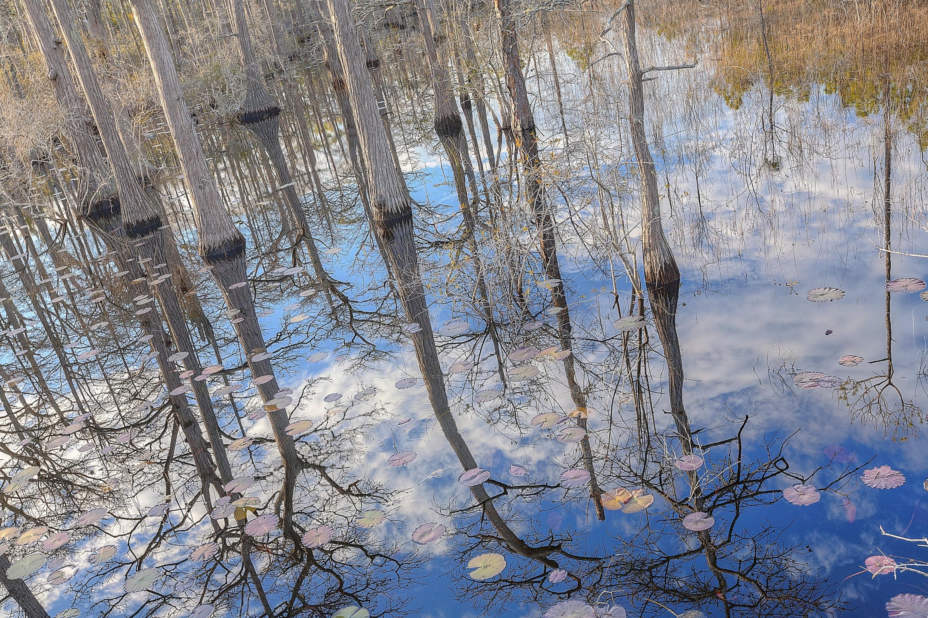 CYPRESS DUNES - Residential