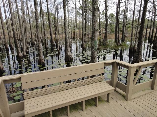 CYPRESS DUNES - Residential