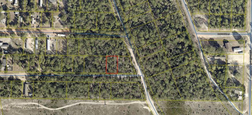 .229 acre lot in Oakwood Hills, an area which is  currently under development with numerous builders.  Zoning is Rural Residential / Low Density which allows Single family residential, manufactured  / mobile homes, and modular homes. The lot is raw , no tap in fees have been paid, septic needed, public water and electric available. See photos for information PER the COUNTY for soils, flood zone , which is X, zoning, wetlands in area (none on this lot per county, no study has been conducted). SETBACKS areF 20 R 15 and Side 7.5