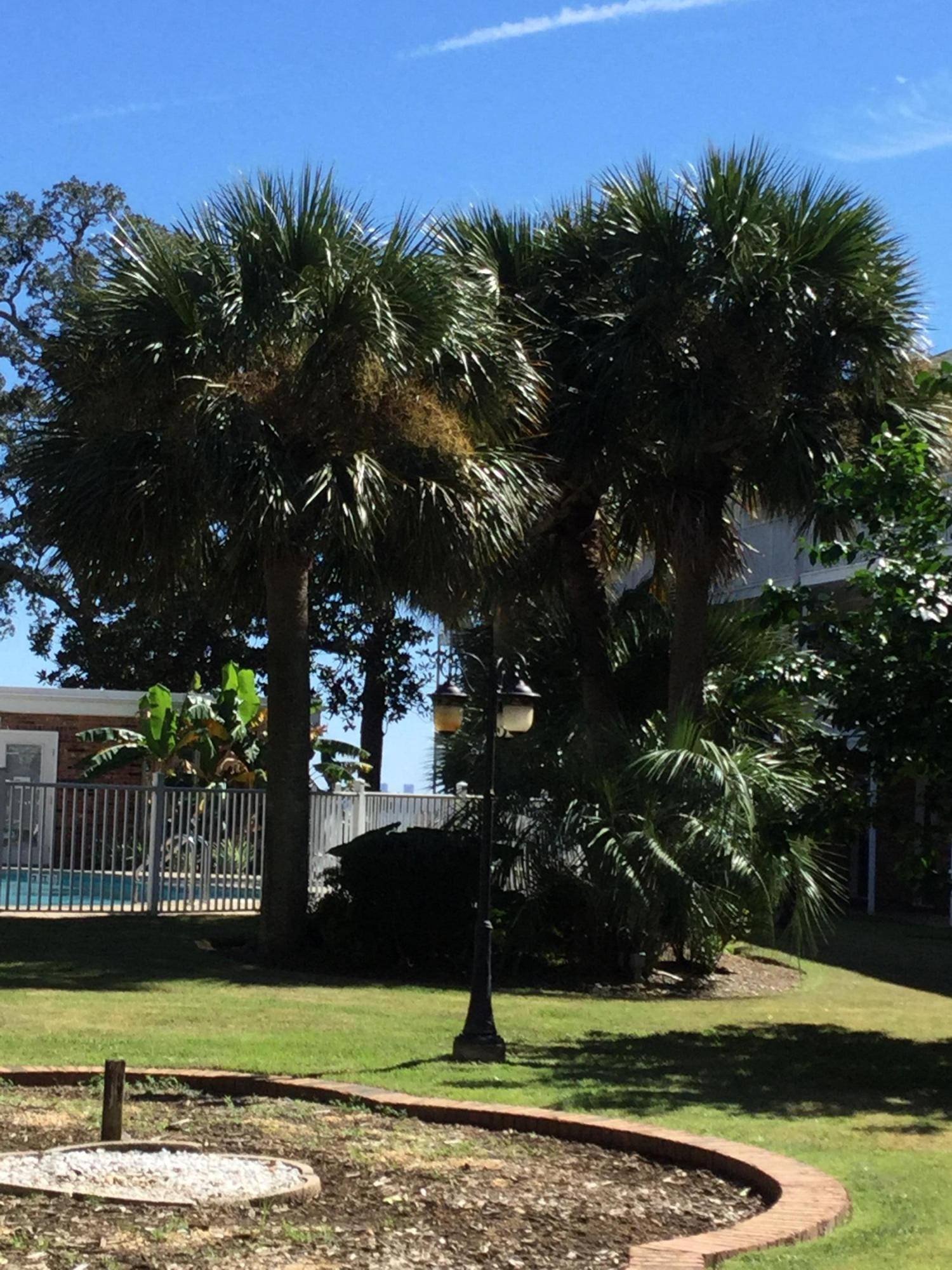 Pensacola Richelieu Condominium - Residential