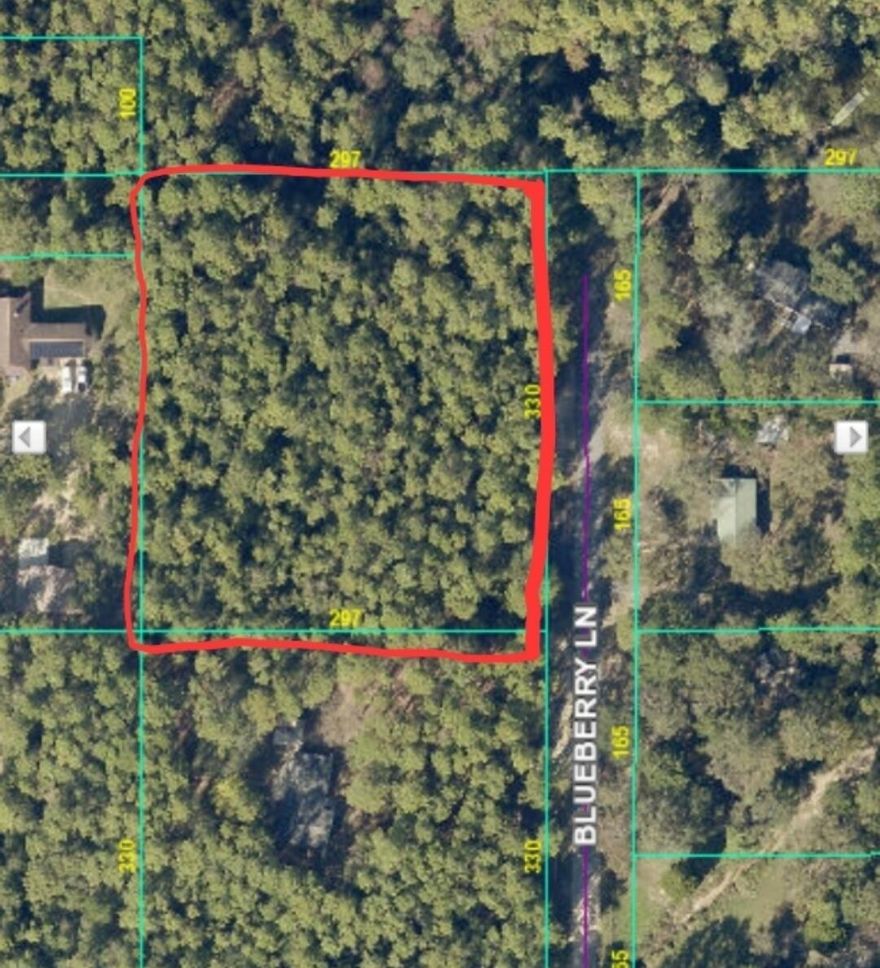 Here is your opportunity to own 2.3 acres of buildable dry acreage on a corner lot with privacy. Building a dream home or looking to purchase an investment property with future growth. Contact me for a showing.
