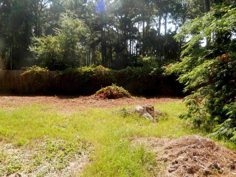 BAY BRIDGE LANDING - Residential