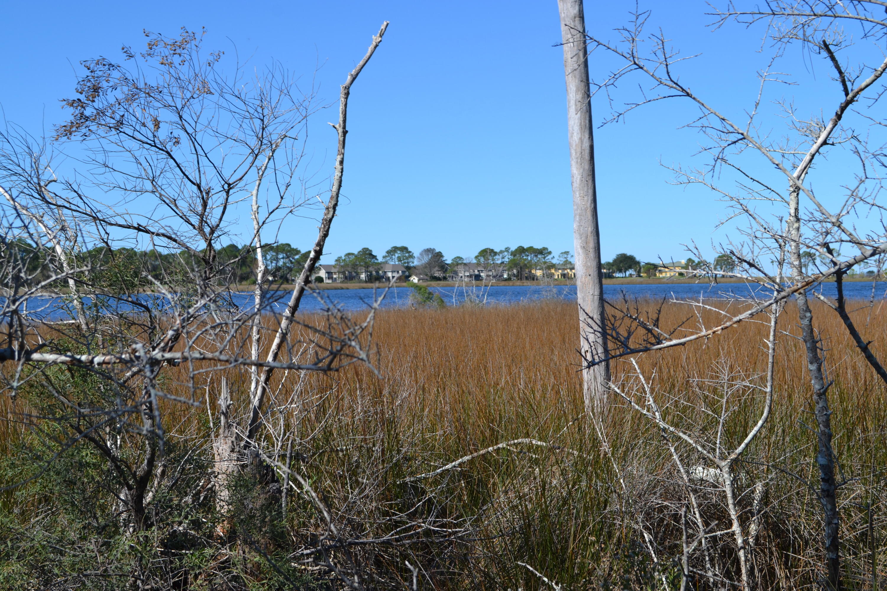 GATEWAY PILOT HOUSE - Residential