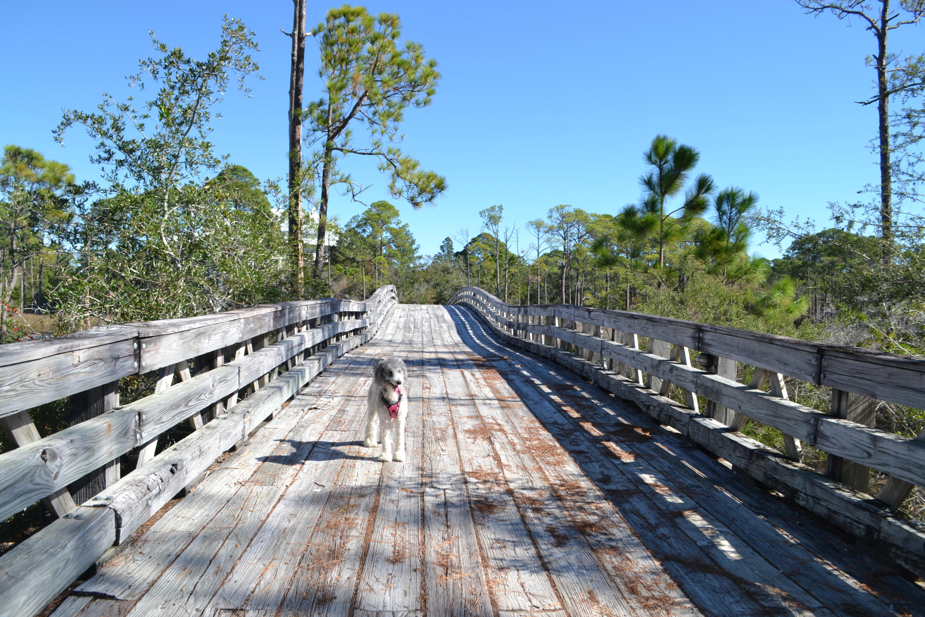 GATEWAY PILOT HOUSE - Residential