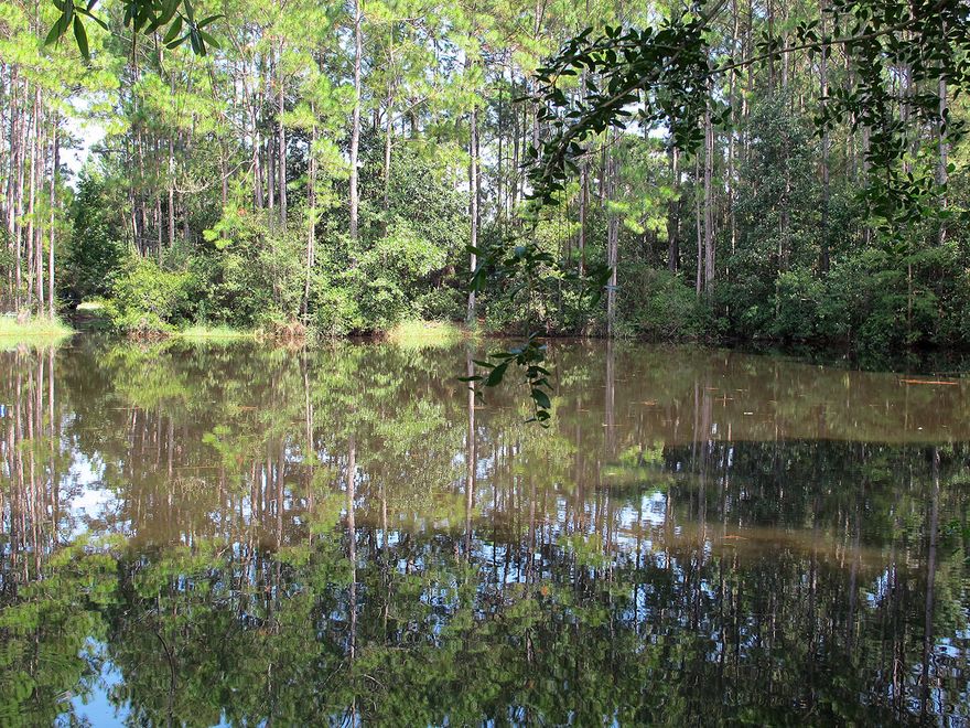 Find your dream paradise just a short drive to our beautiful sandy beaches! Large lot on a lovely pond in the southeast corner. Past tenants often ate fish, reportedly bass and brim, which they pulled from the pond themselves. The expansive acre and a third offers more than enough room for two homes, mobile or otherwise, and zoning is Mixed Residential. Water and electrical is available on the lot. Santa Rosa GIS shows no wetlands.The mobile home was damaged in a fire, and may or may not be salvageable. The lot is being sold As Is, seller will not clear any debris or remove the mobile home. Buyer should verify all characteristics of the lot deemed important.