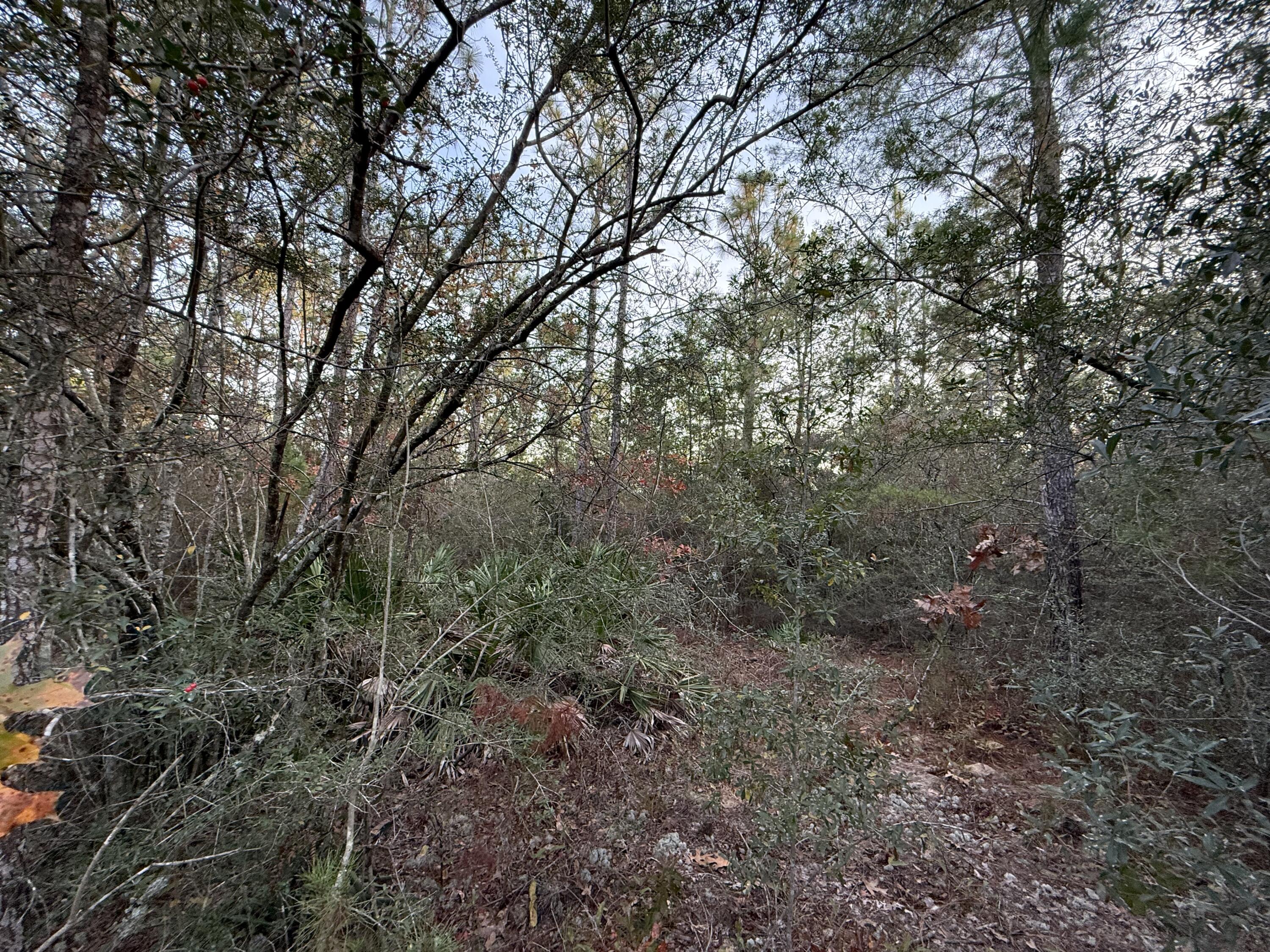 COUNTRY CLUB MANOR EAST - Land