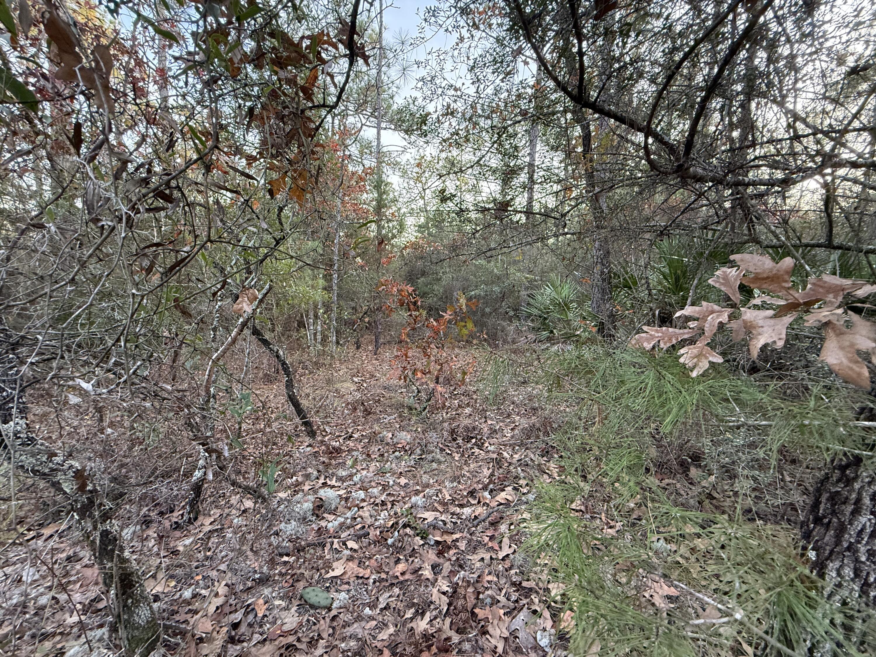 COUNTRY CLUB MANOR EAST - Land