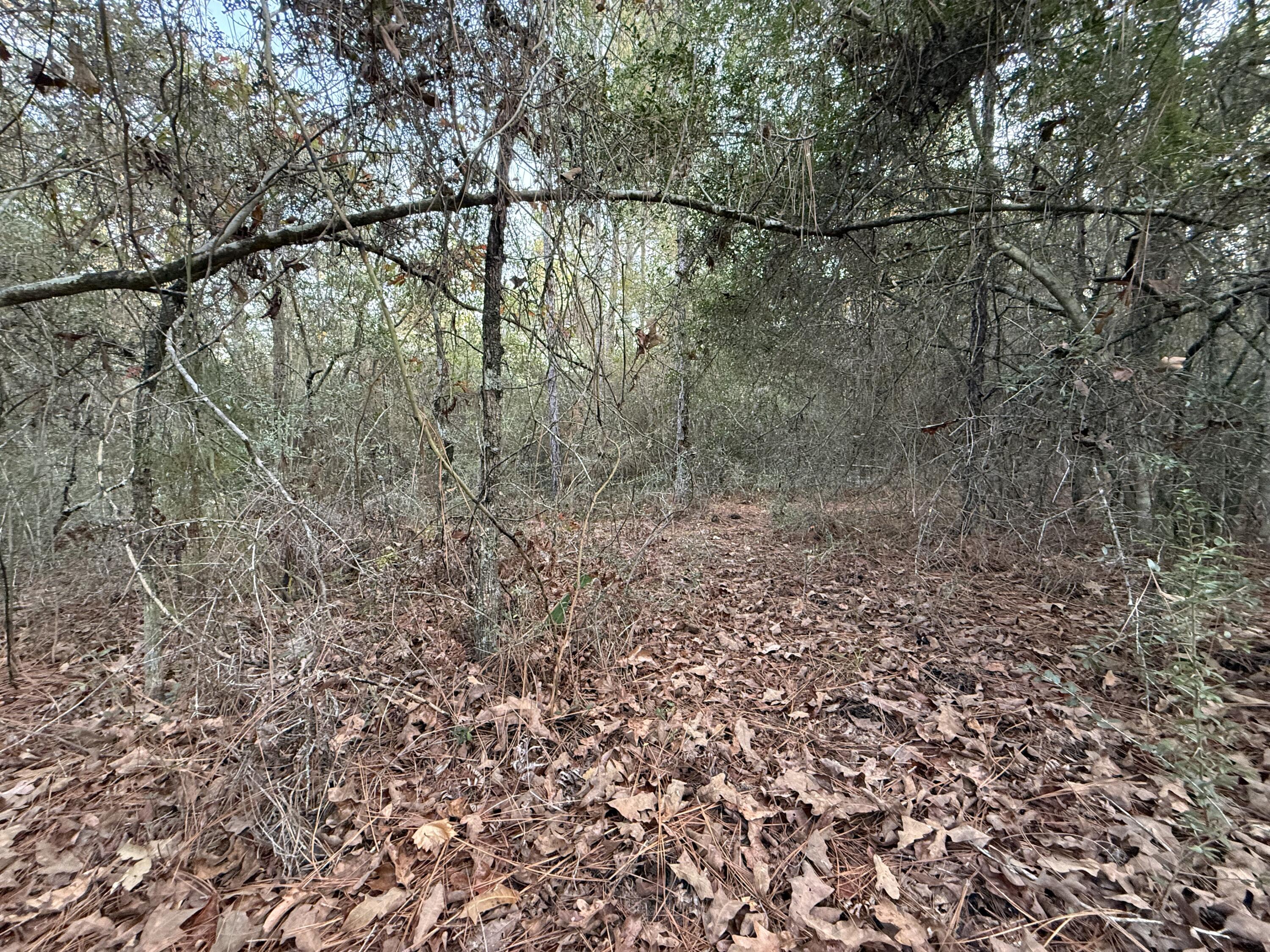 COUNTRY CLUB MANOR EAST - Land