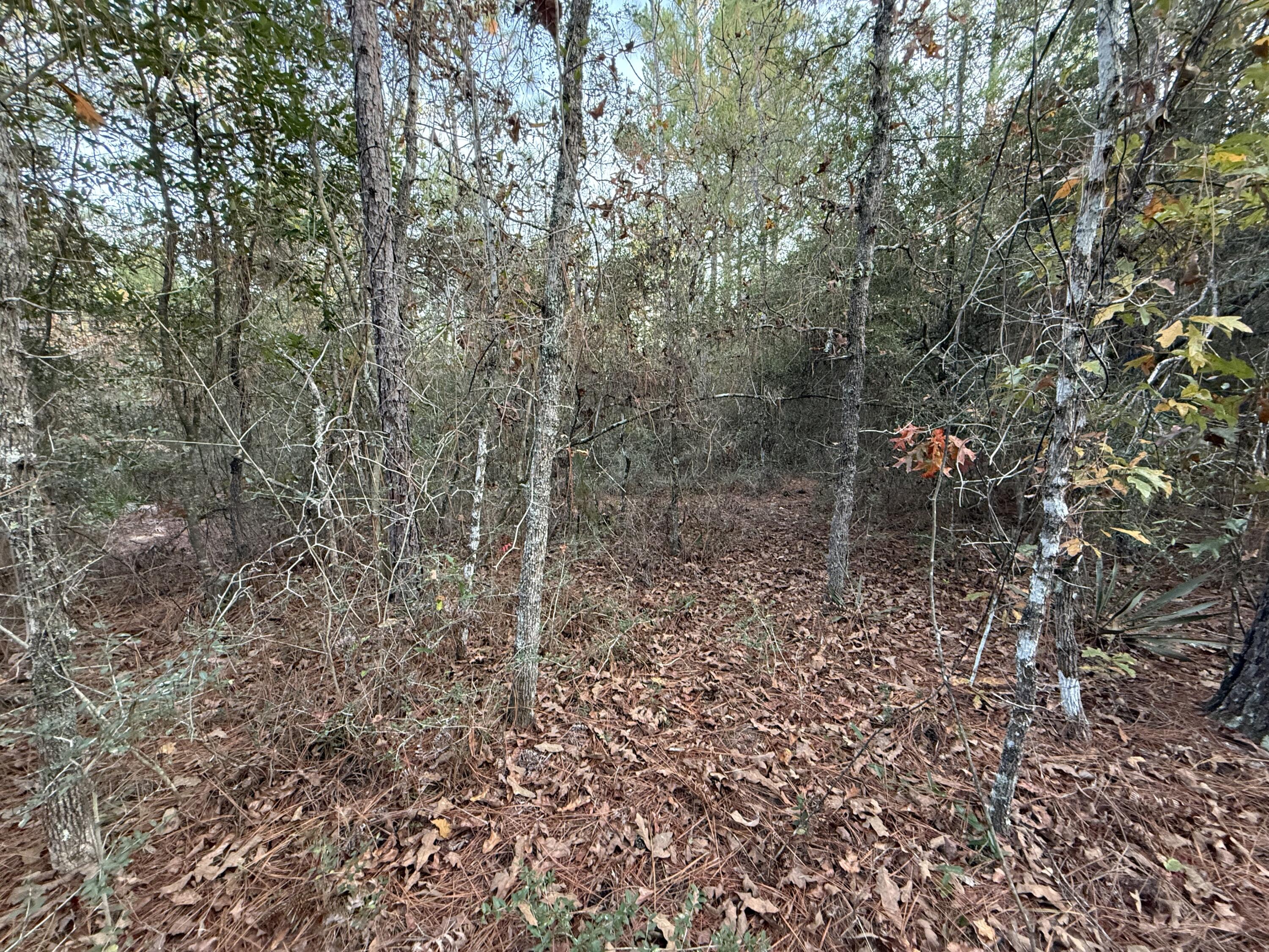 COUNTRY CLUB MANOR EAST - Land