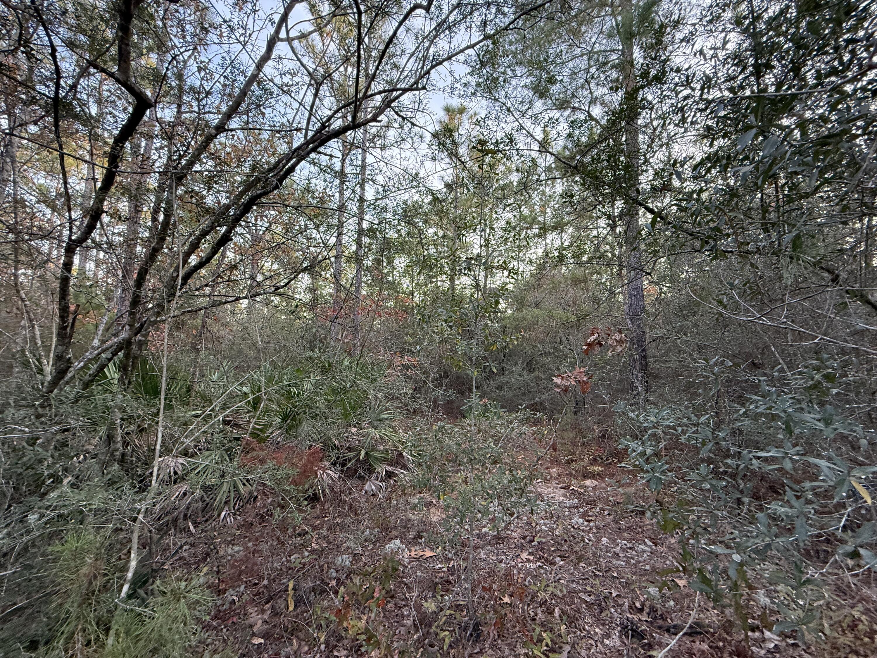 COUNTRY CLUB MANOR EAST - Land