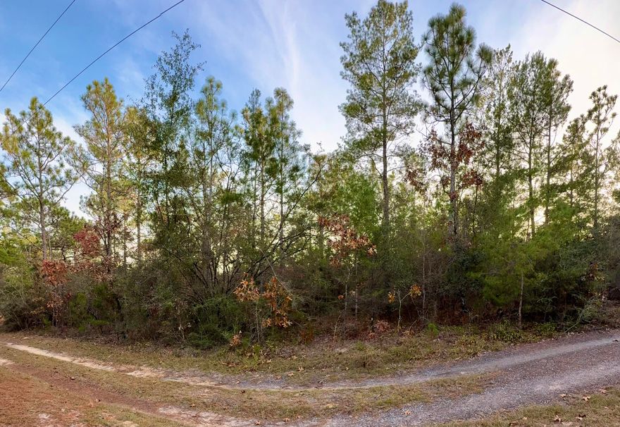 Unique opportunity!!! Located in the natural setting of Oakwood Hills within the fast-growing Mossy Head community of Northwest Florida, this versatile .45-acre homesite offers excellent flexibility. The beautifully wooded lot is in an area seeing active development by multiple builders. Zoned Rural Residential / Low Density, the property allows single-family homes, manufactured or mobile homes, and modular construction. Located in Flood Zone X per county records. Just 1.4 miles to US-90, with convenient access to I-10, making this an ideal location for commuting in any direction, with most major employers within an approximate 30-45 minute drive. Plus, you're approximately 35 miles from the beautiful turquoise water & white-sand beaches of Florida's famous Emerald Gulf Coast, including 30A and the majestic Crab Island. Buyer needs to verify building codes, zoning regulations, wetlands and flood