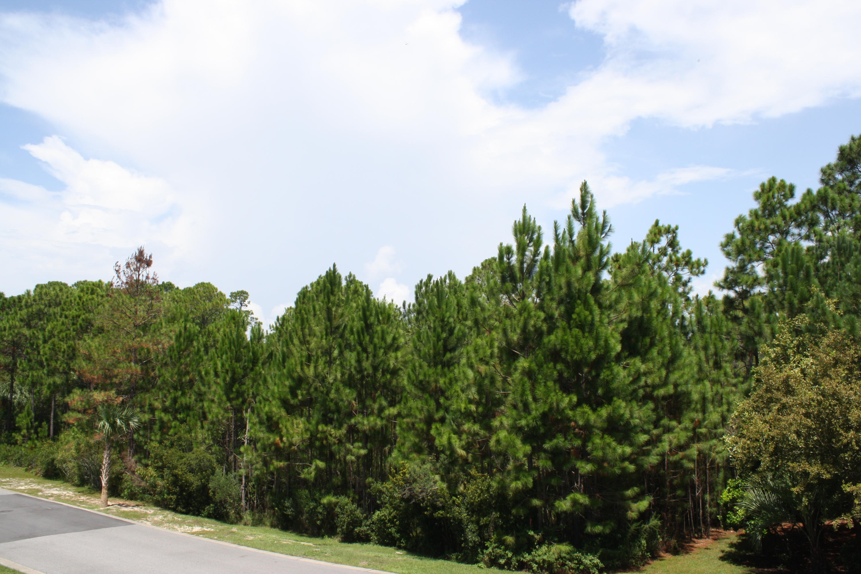 CYPRESS BREEZE PLANTATION - Residential