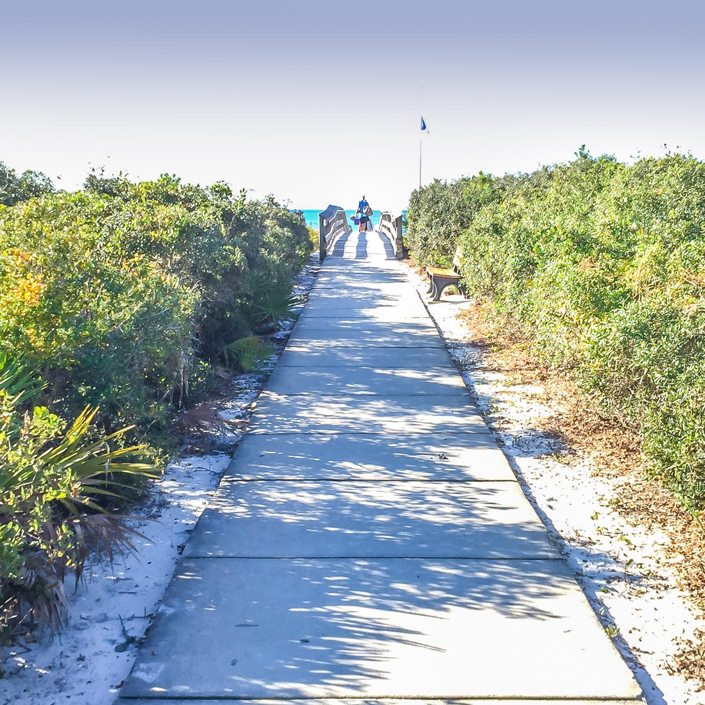 Lot 5 Waterview at Inlet Beach - Residential