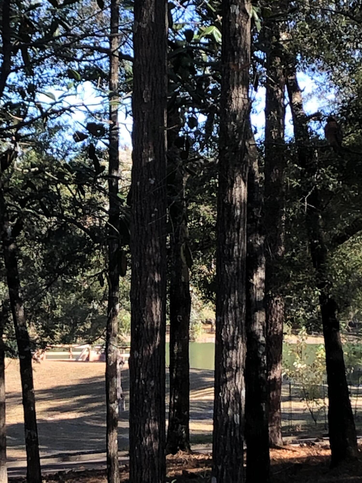 INDIAN TRAILS PH 2 - Residential