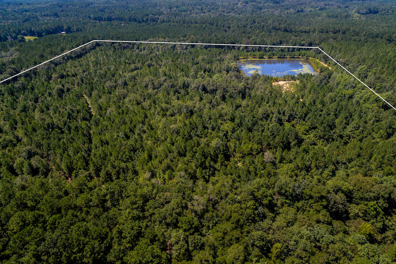 METES & BOUNDS - Land