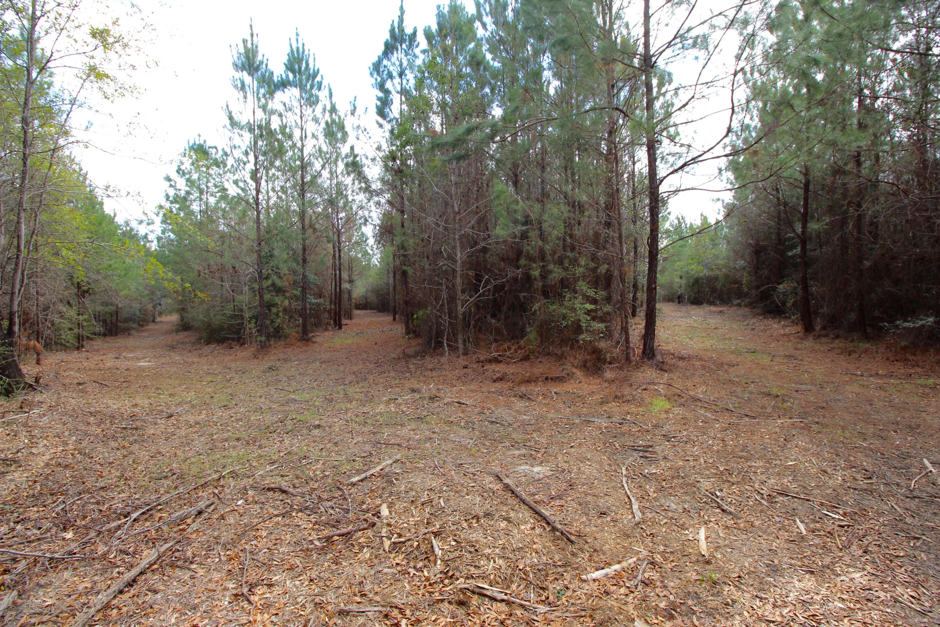 METES & BOUNDS - Land