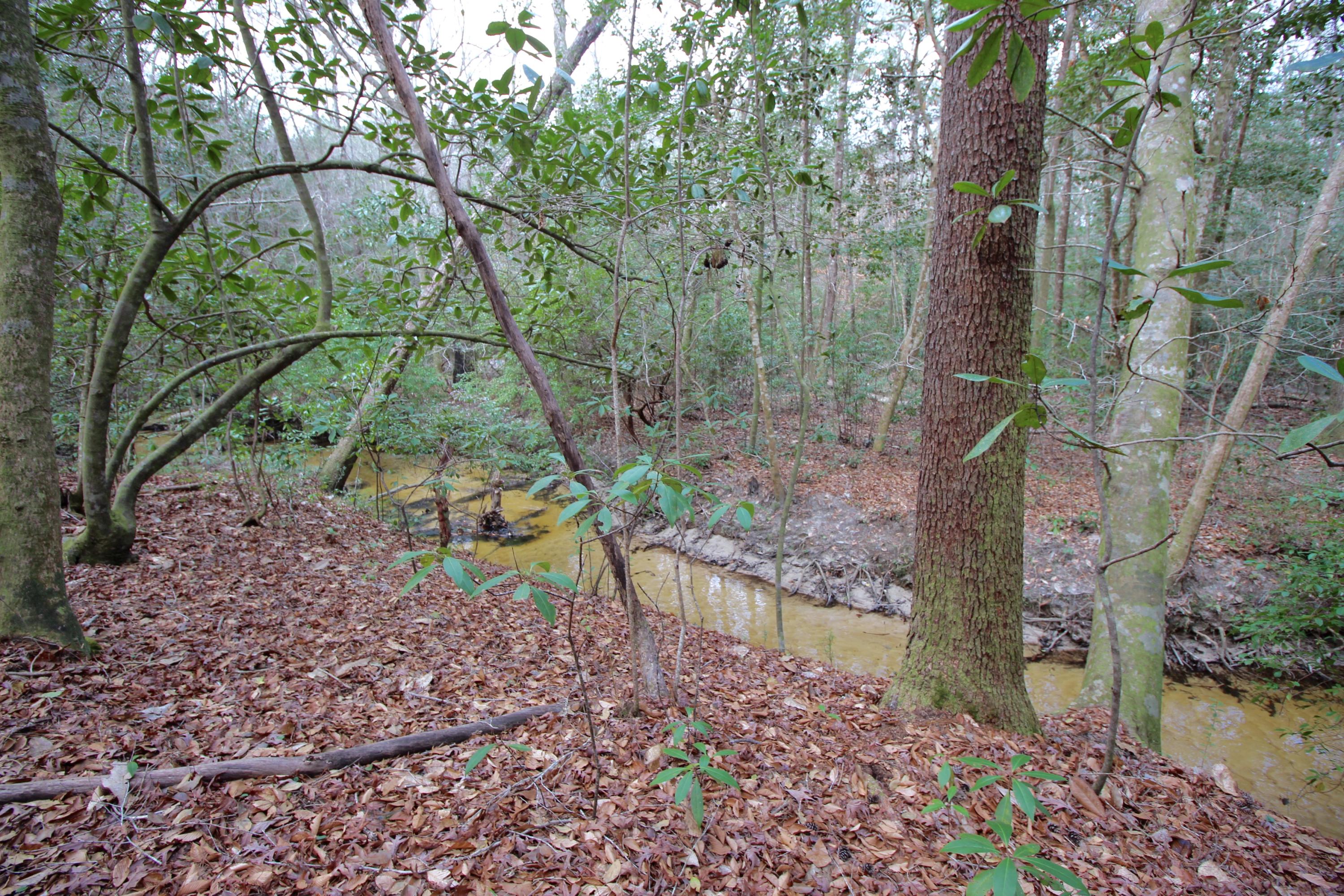 METES & BOUNDS - Land