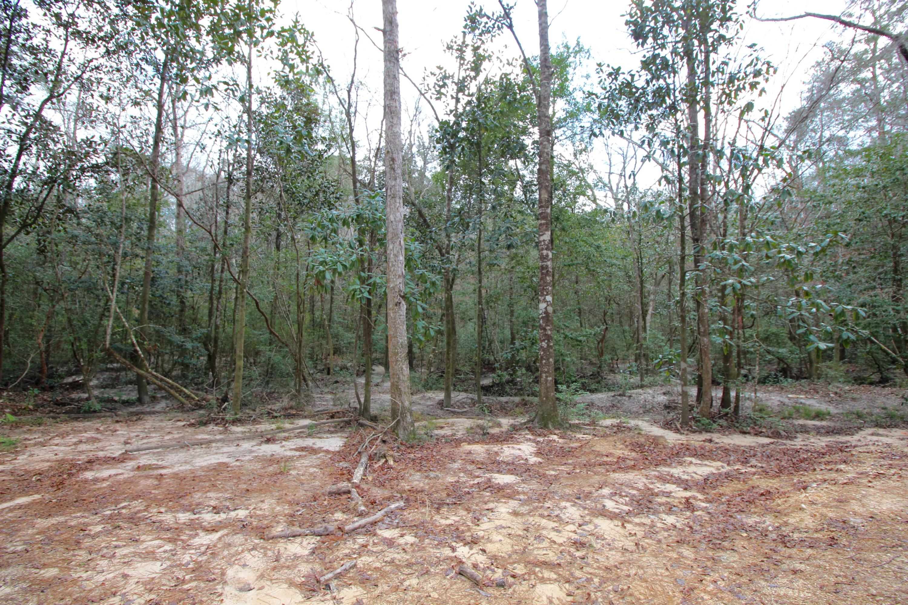 METES & BOUNDS - Land