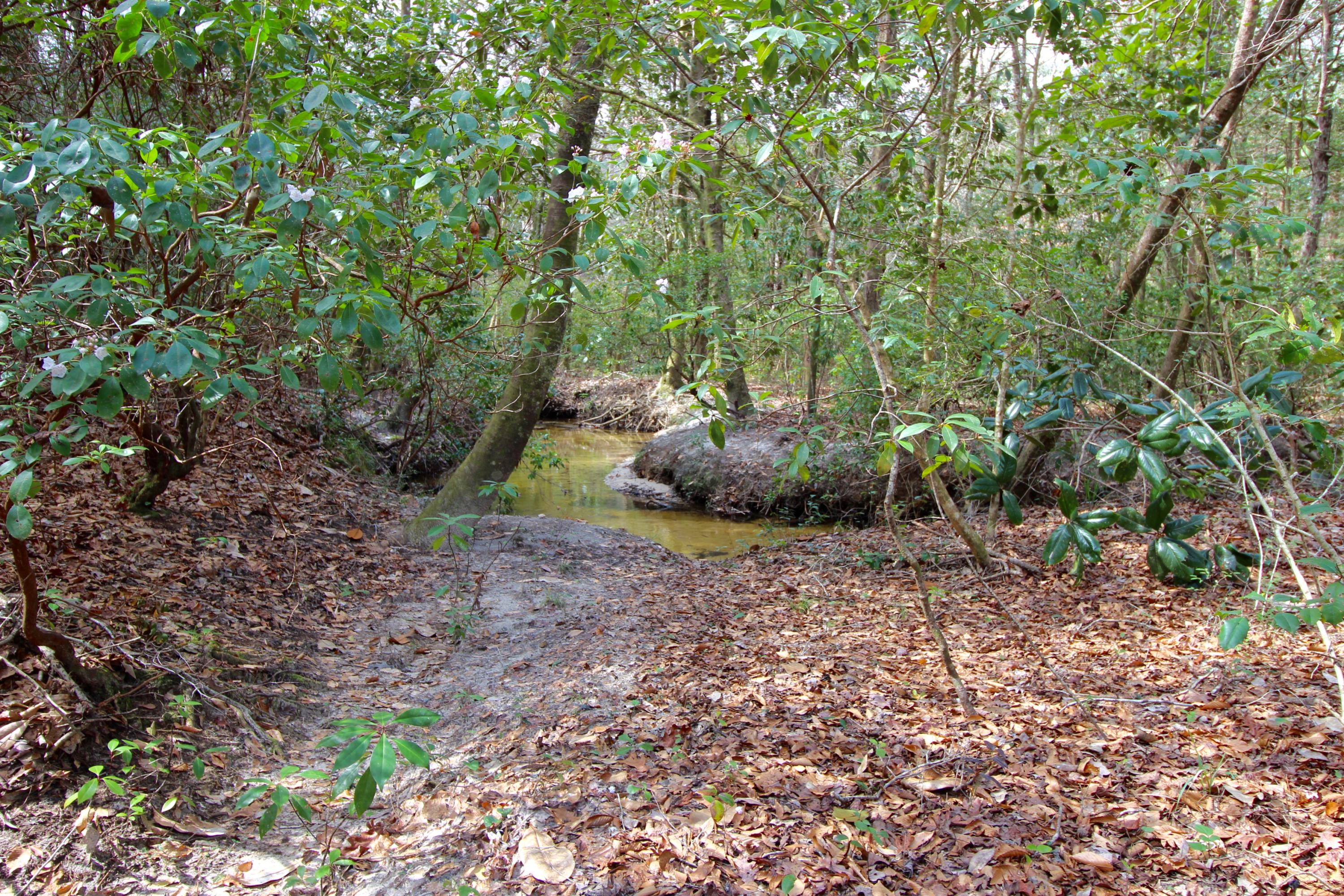 METES & BOUNDS - Land