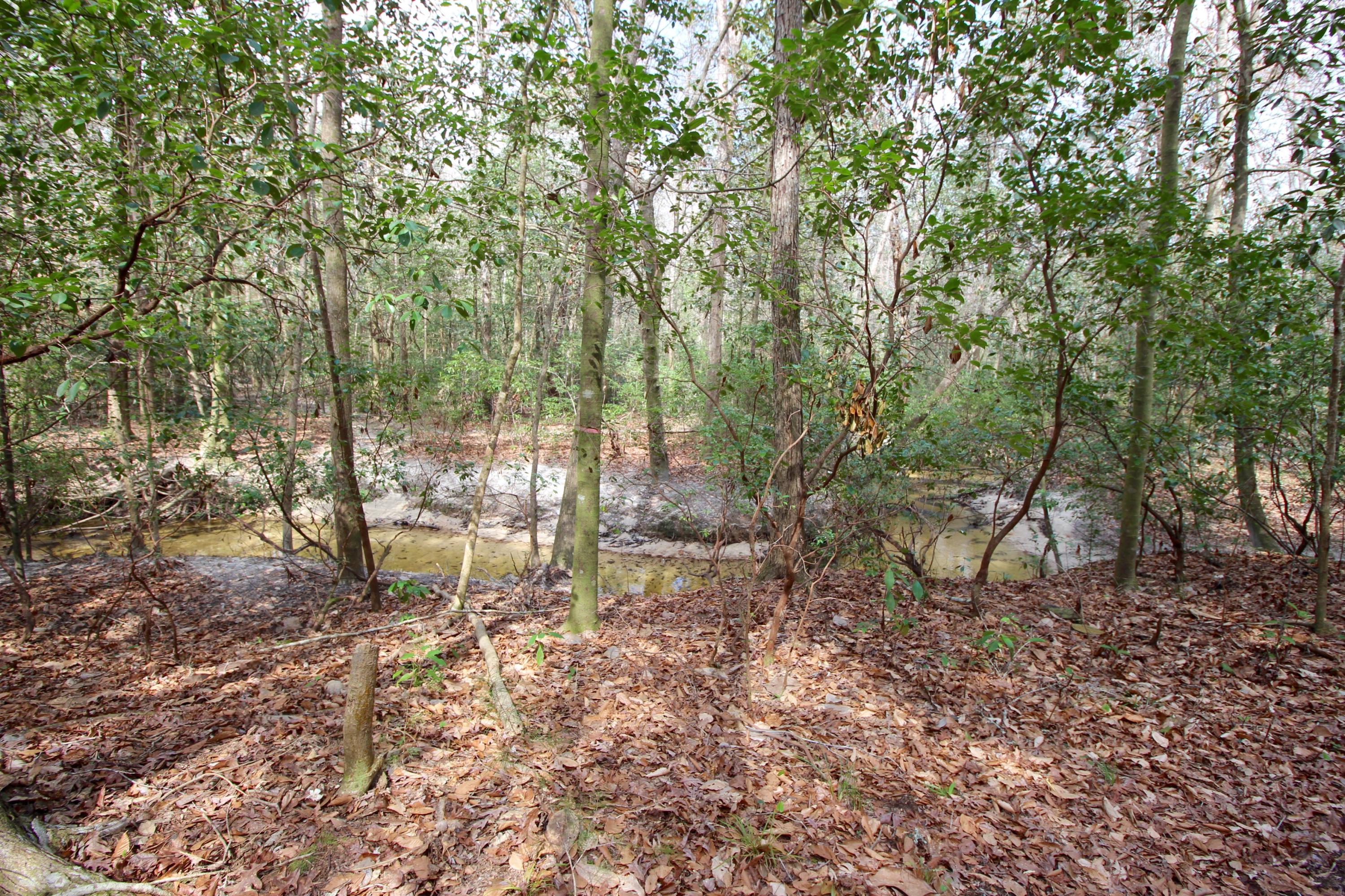 METES & BOUNDS - Land