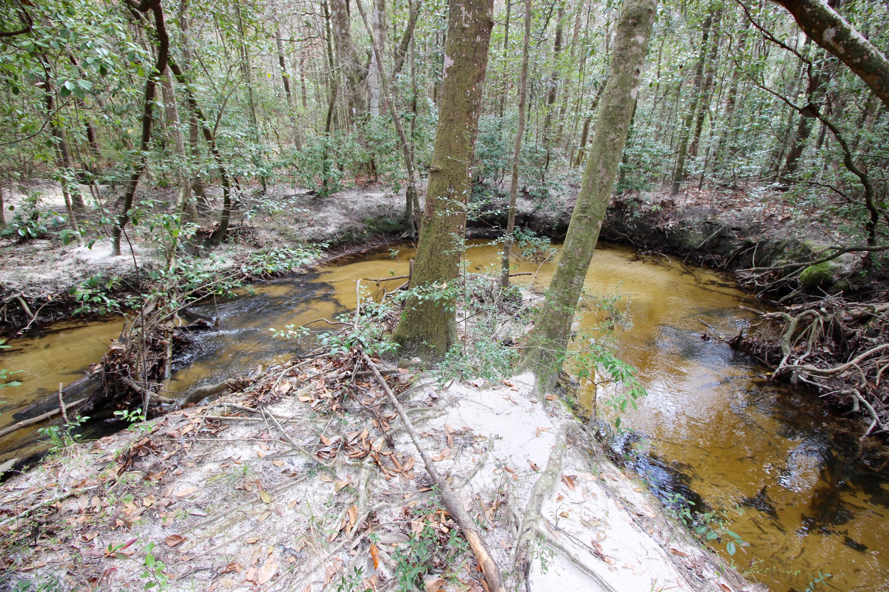 METES & BOUNDS - Land