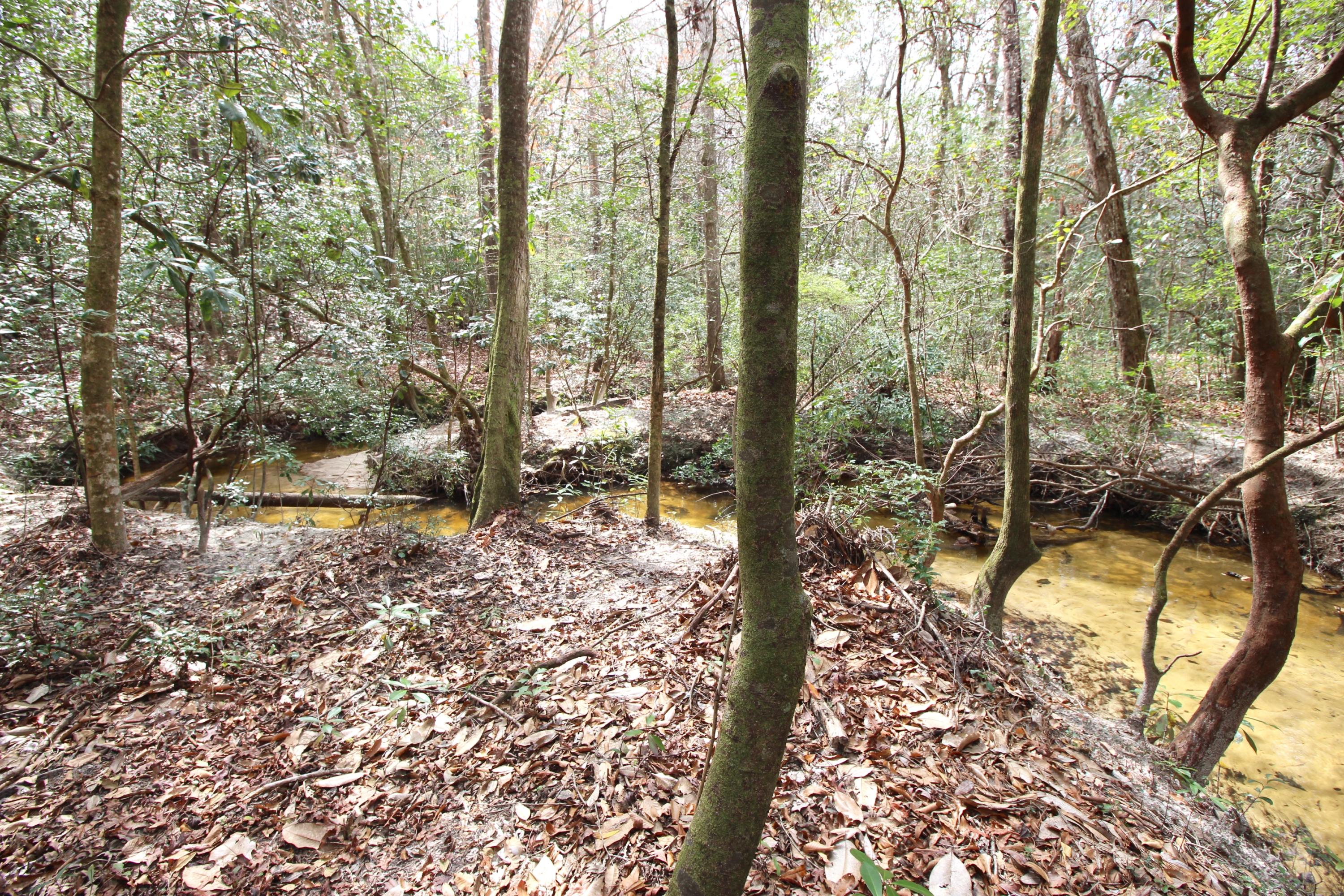 METES & BOUNDS - Land