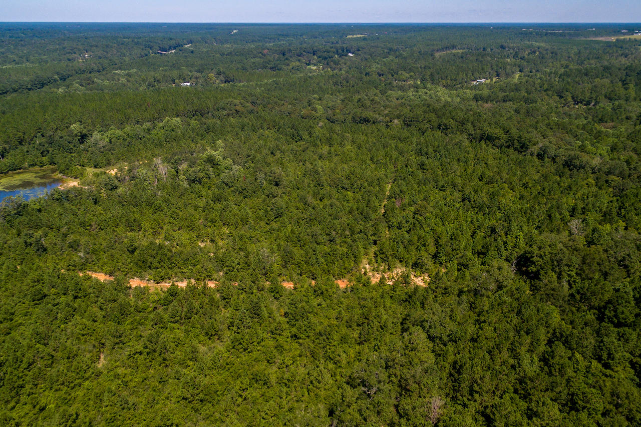 METES & BOUNDS - Land