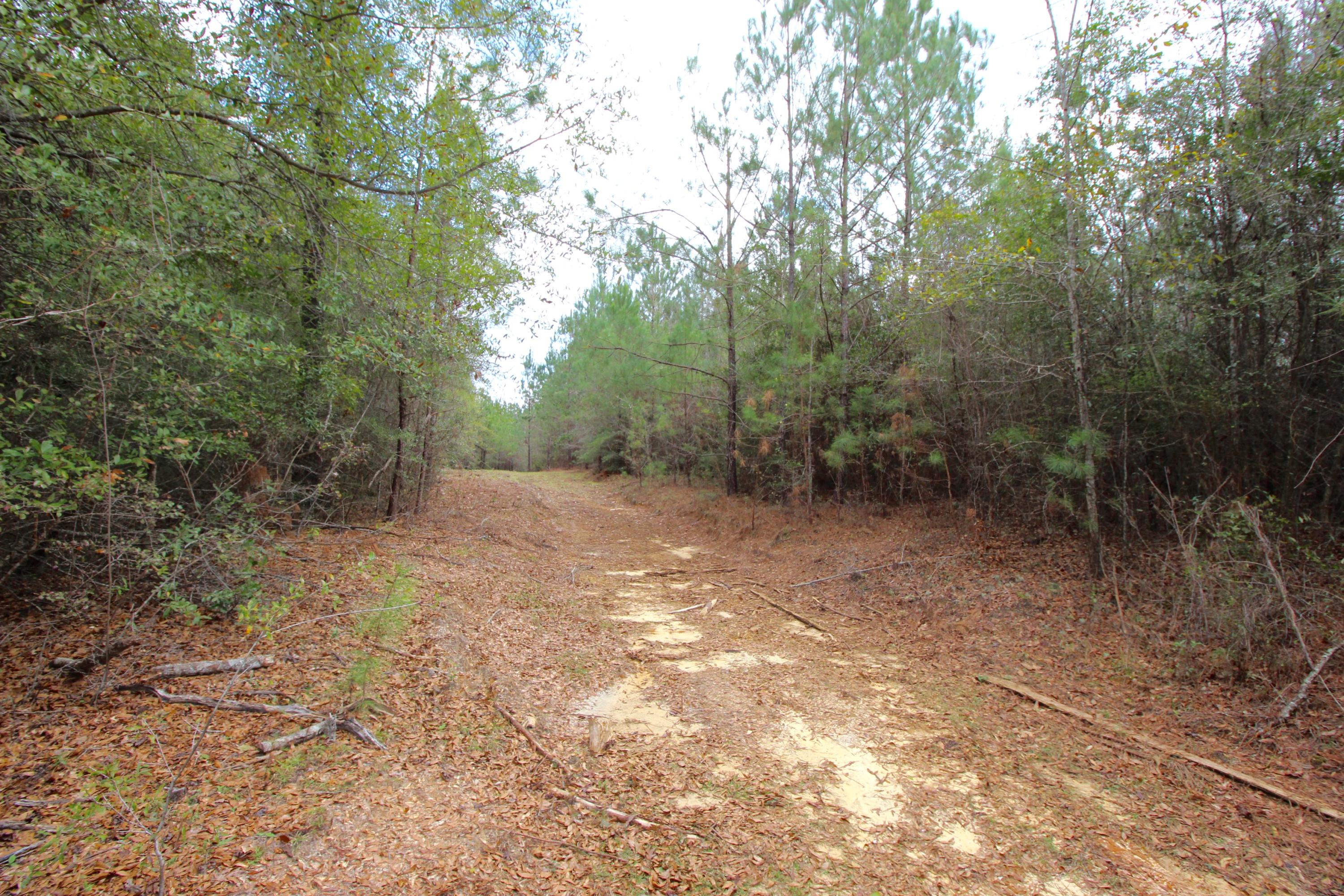 METES & BOUNDS - Land