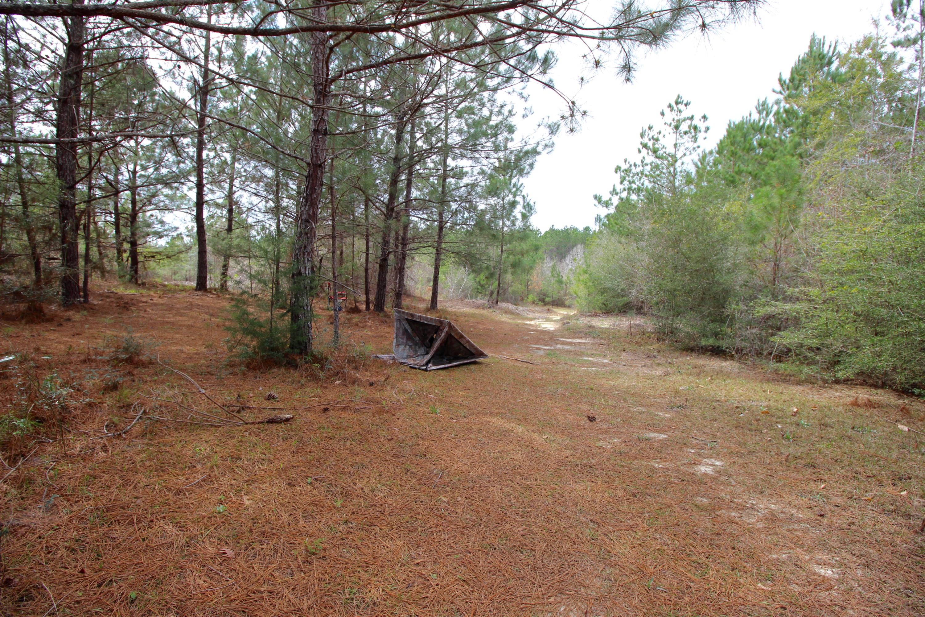 METES & BOUNDS - Land