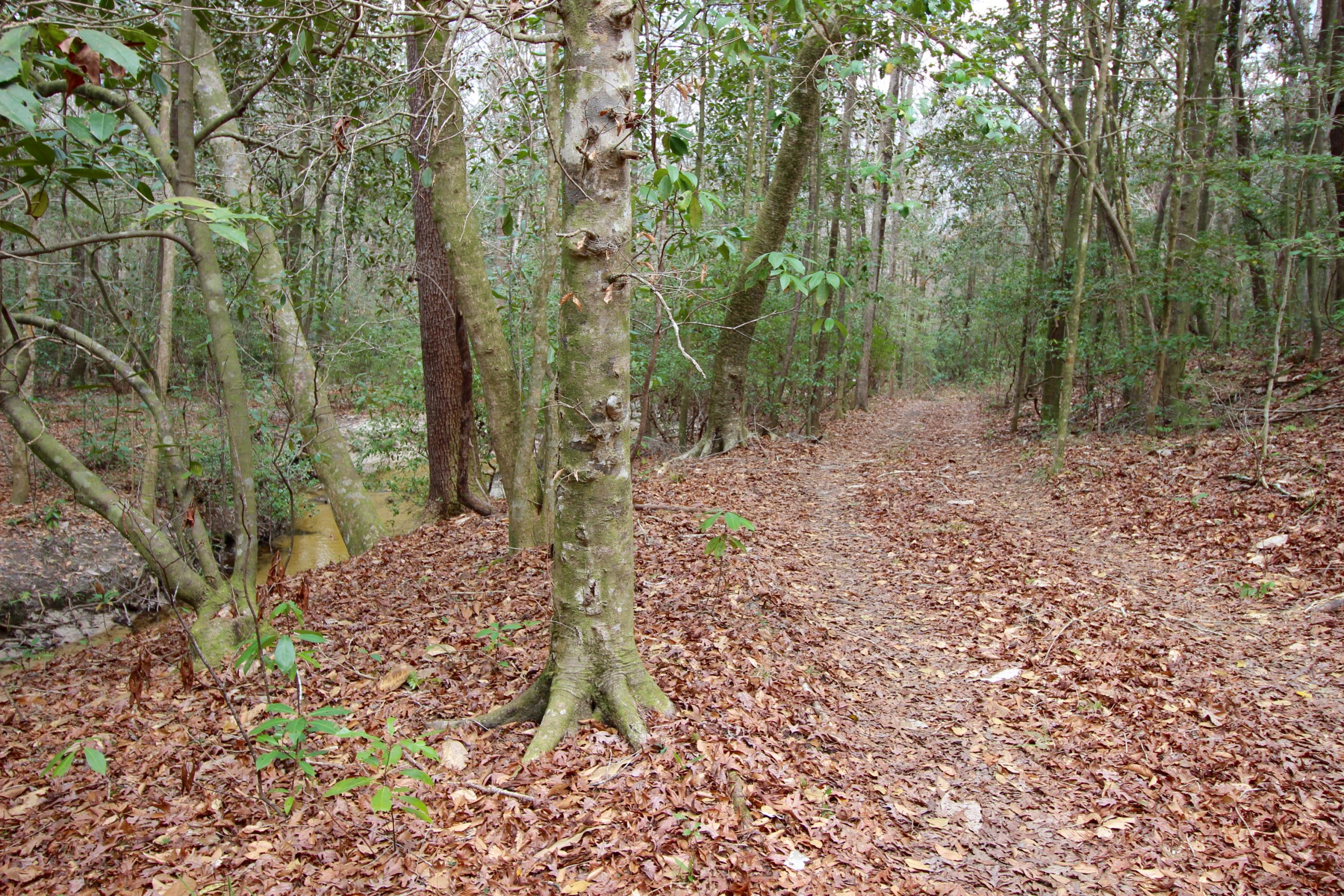 METES & BOUNDS - Land