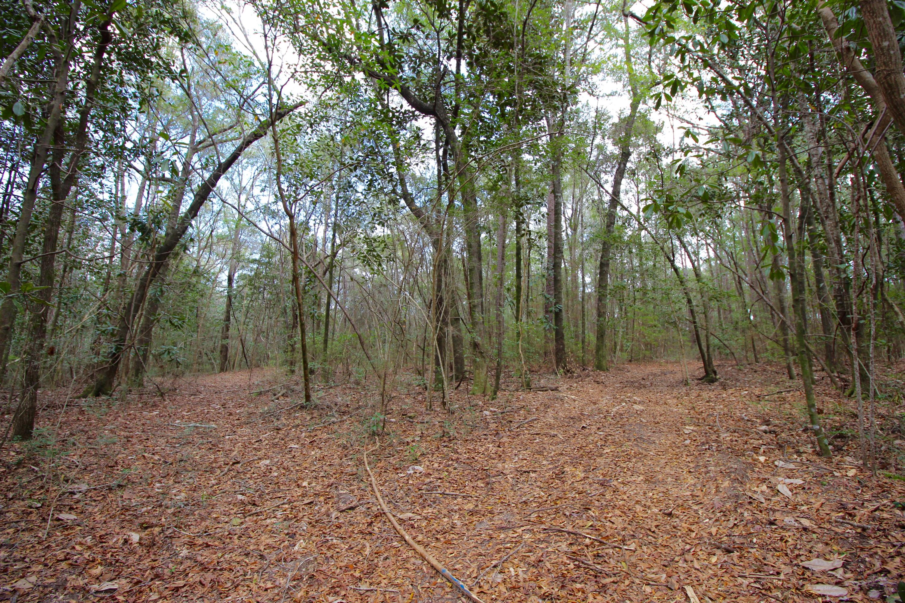 METES & BOUNDS - Land