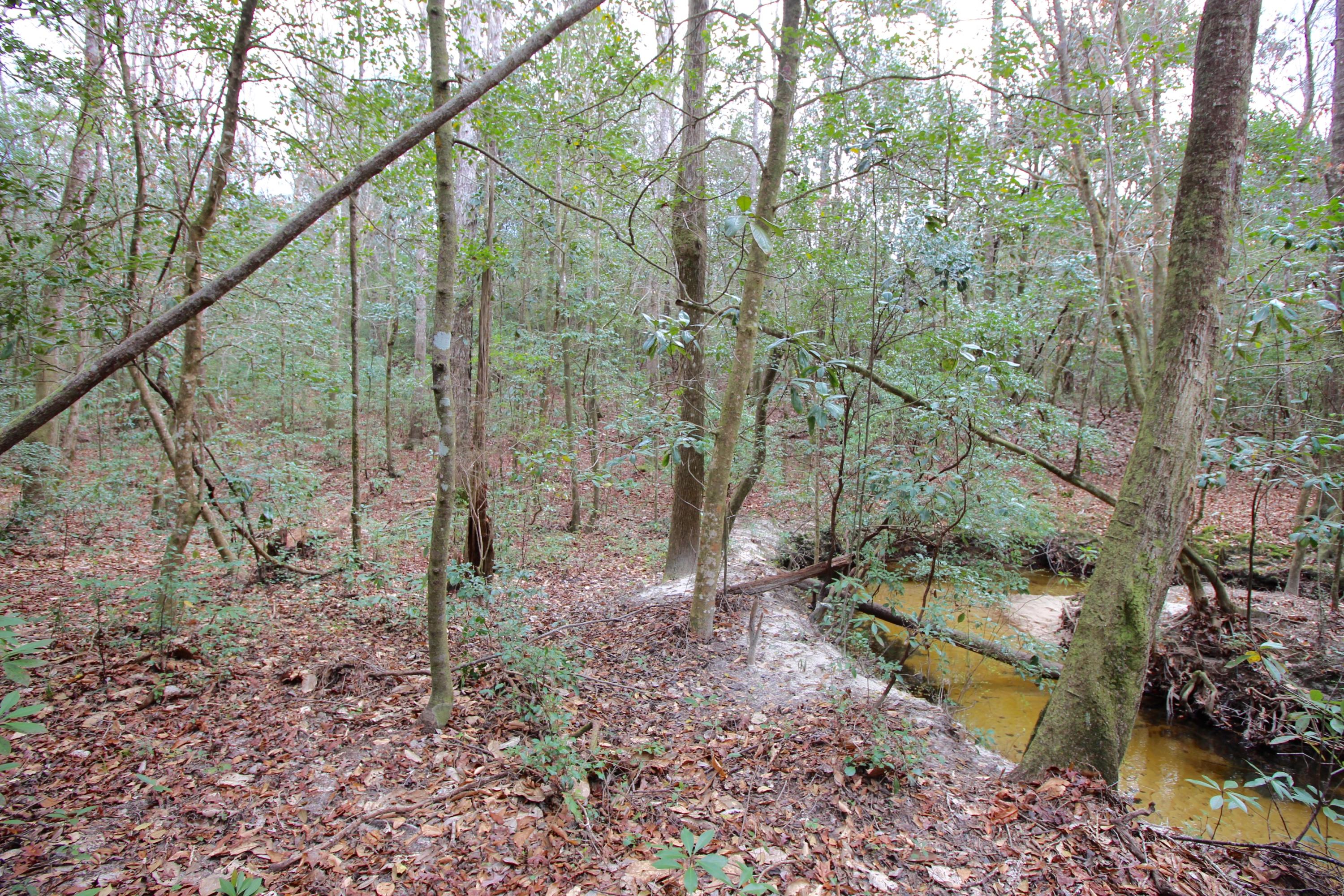 METES & BOUNDS - Land