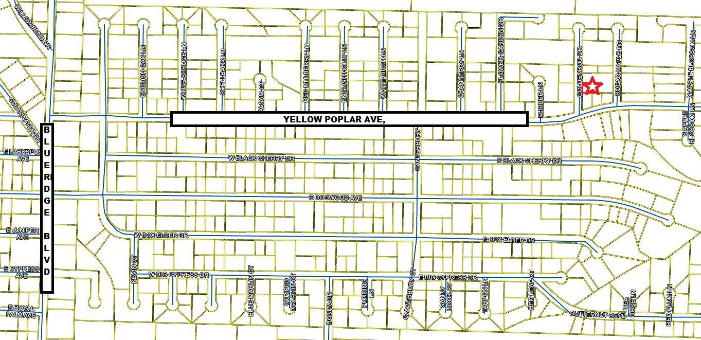Vacant lot, located off Blue Ridge Blvd. in Mossy Head area of Defuniak Springs. Subdivision has been platted but roads not cut to this lot (see photos).