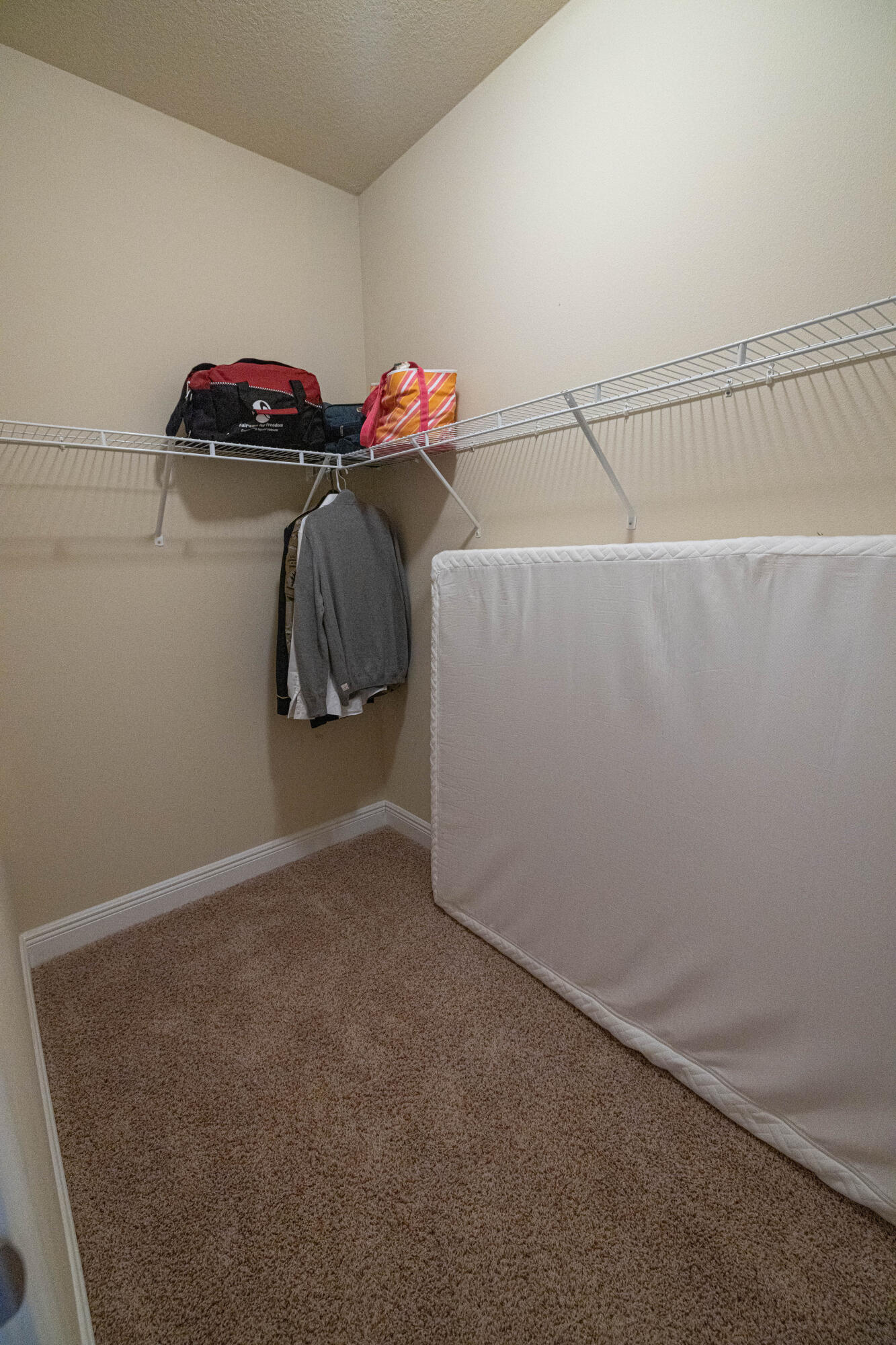 The Forest at Oriole Beach - Residential