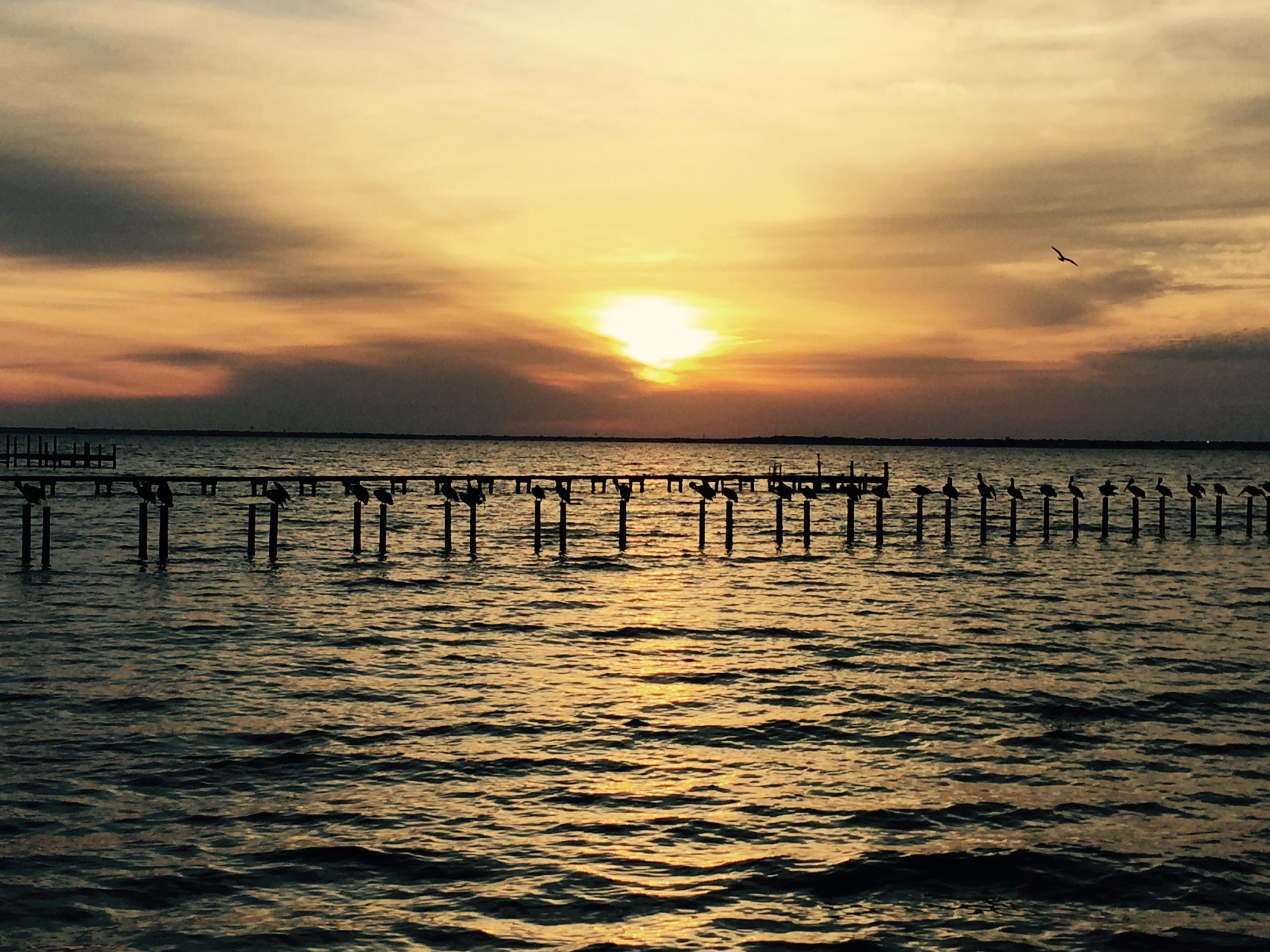 PEACOCKS POINT - Land