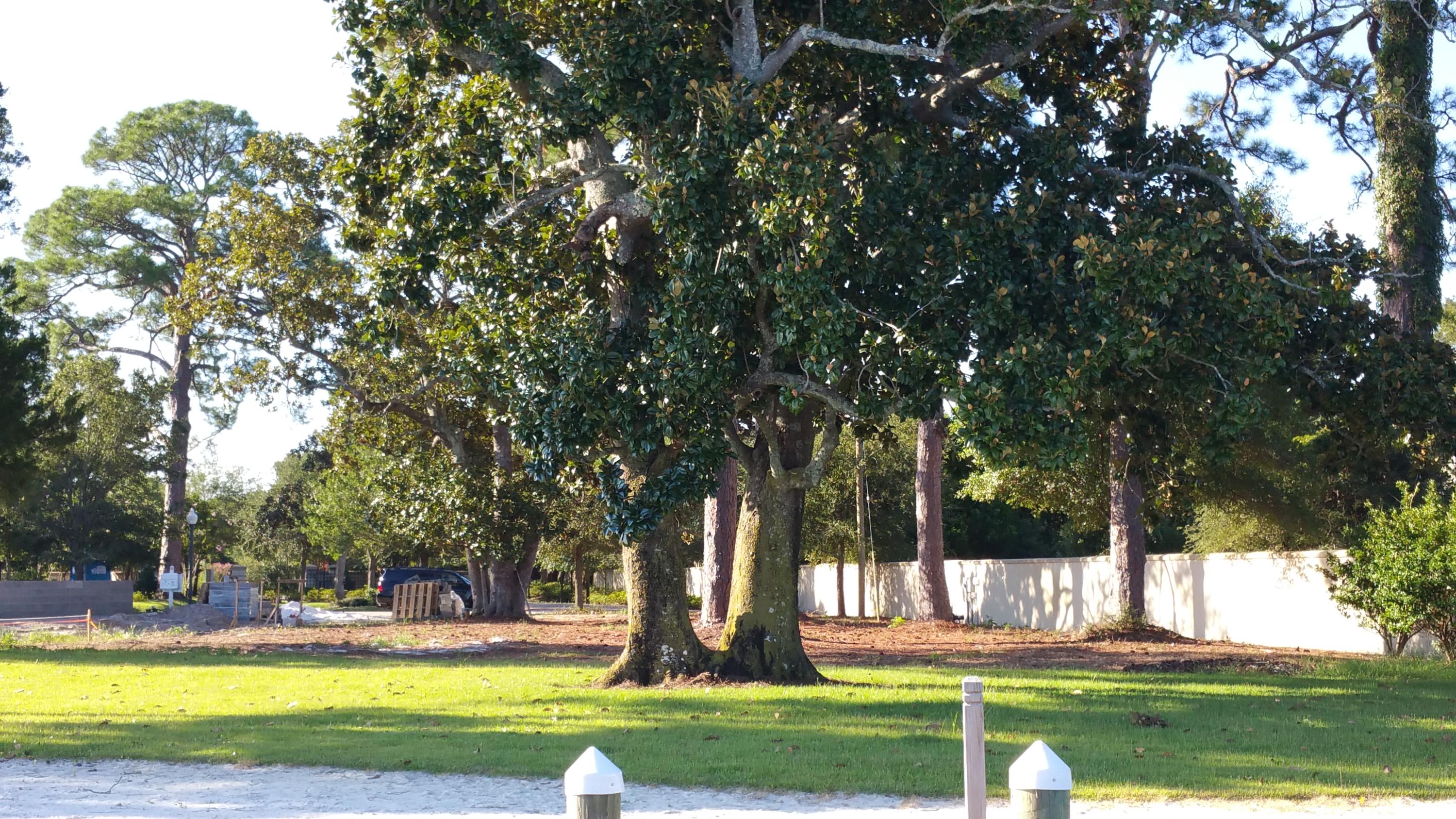 PEACOCKS POINT - Land