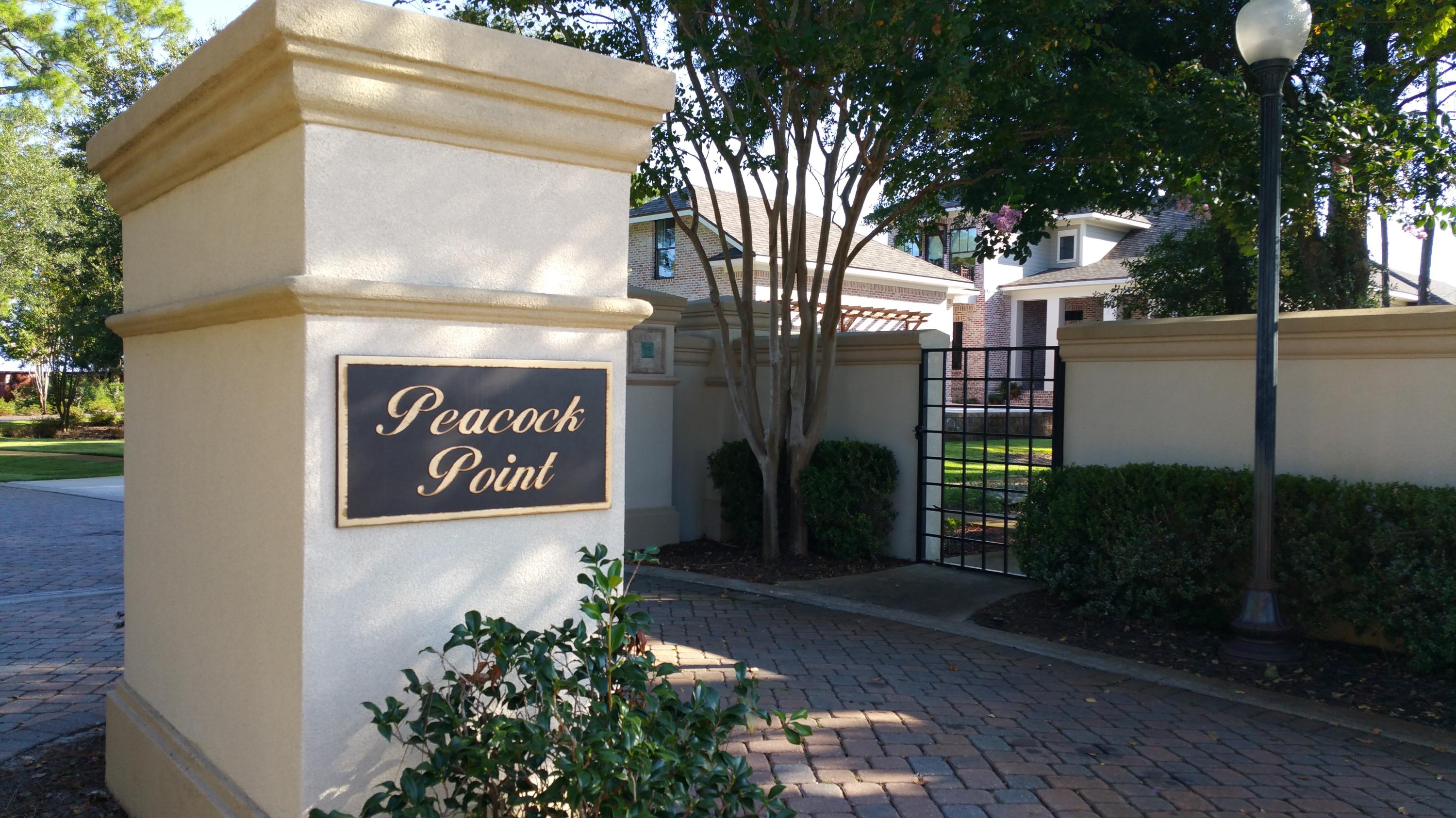 PEACOCKS POINT - Land