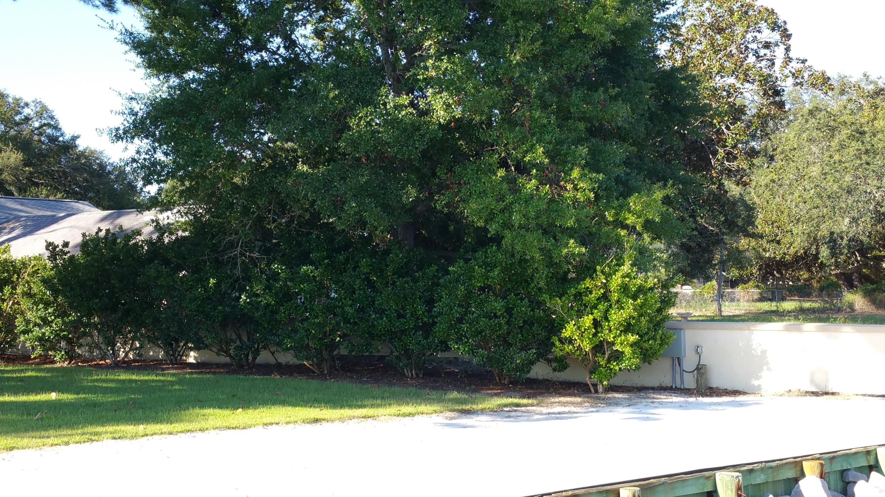 PEACOCKS POINT - Land