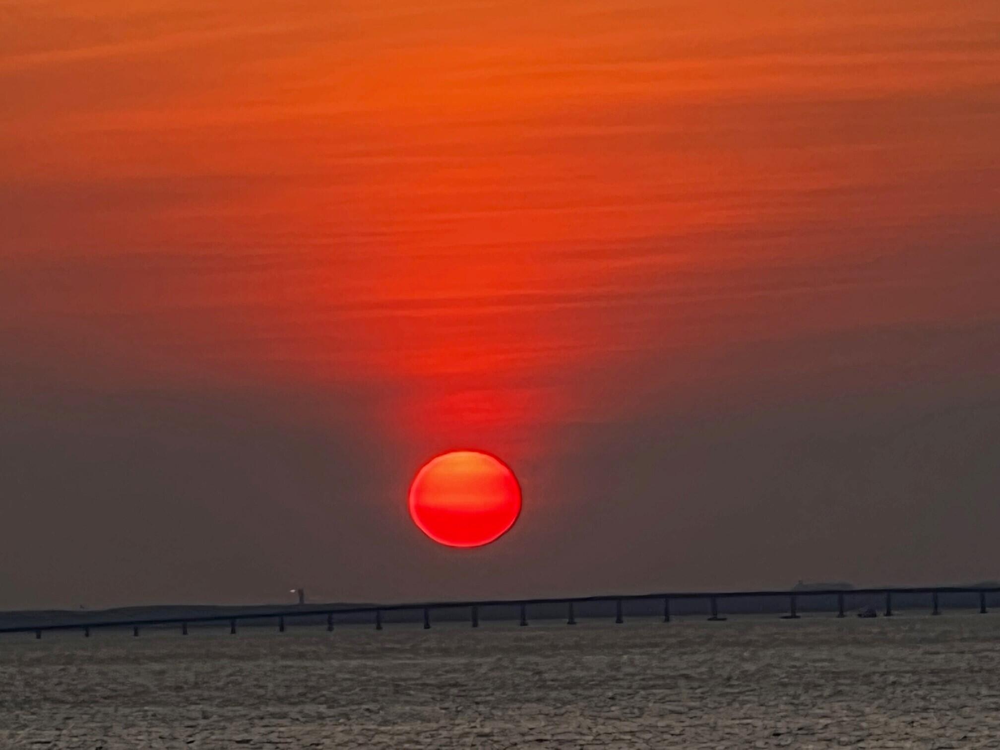 ELATION - Residential Lease