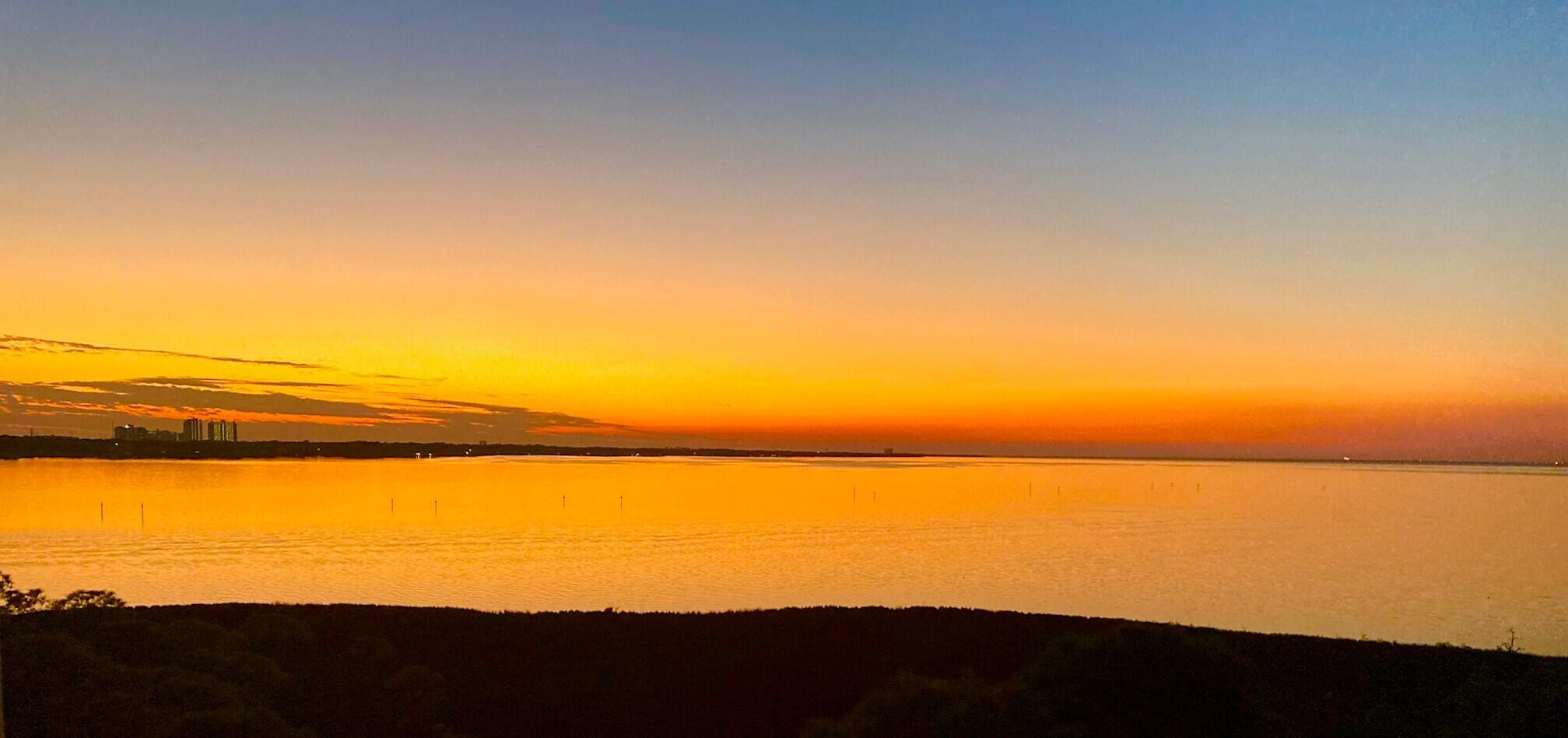 ELATION - Residential Lease