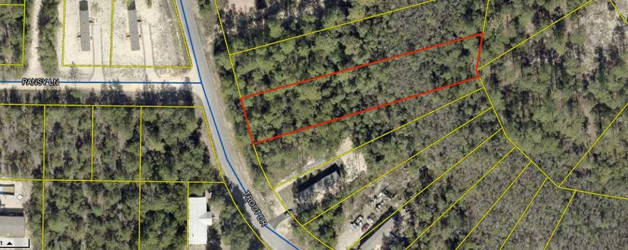 Reel in Your Dream Lot on Trout Drive! Tucked away in the peaceful beauty of DeFuniak Springs, this 0.669-acre wooded lot is a hidden gem waiting to be discovered. With over 400 feet of depth, this spacious and private slice of nature offers plenty of room to bring your vision to life--whether that's your dream home, a cozy cabin getaway, or a smart investment. no hoa. Don't let this one swim away--cast your offer today!Power available at the road.Well and Septic are required.Mobile Homes AllowedFlood Zone X - No flood insurance requiredSmall Wetlands Creek on back of propertyZoning - Rural Low Residential